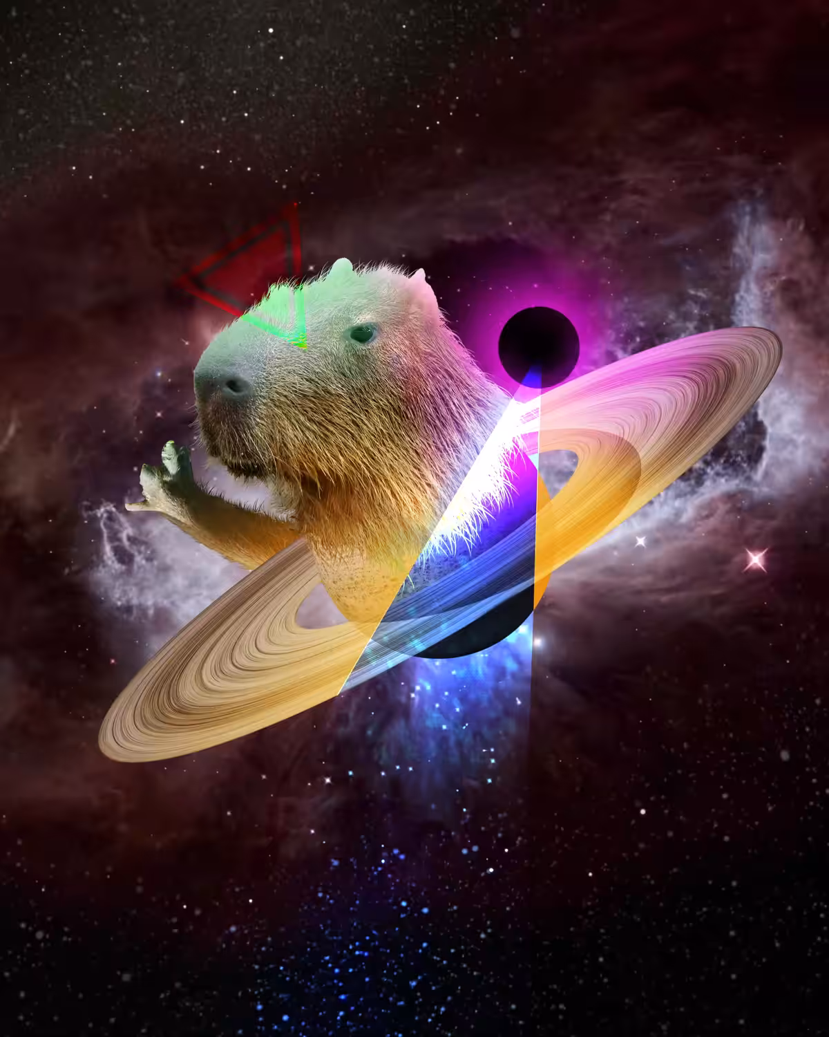 #001 capybara