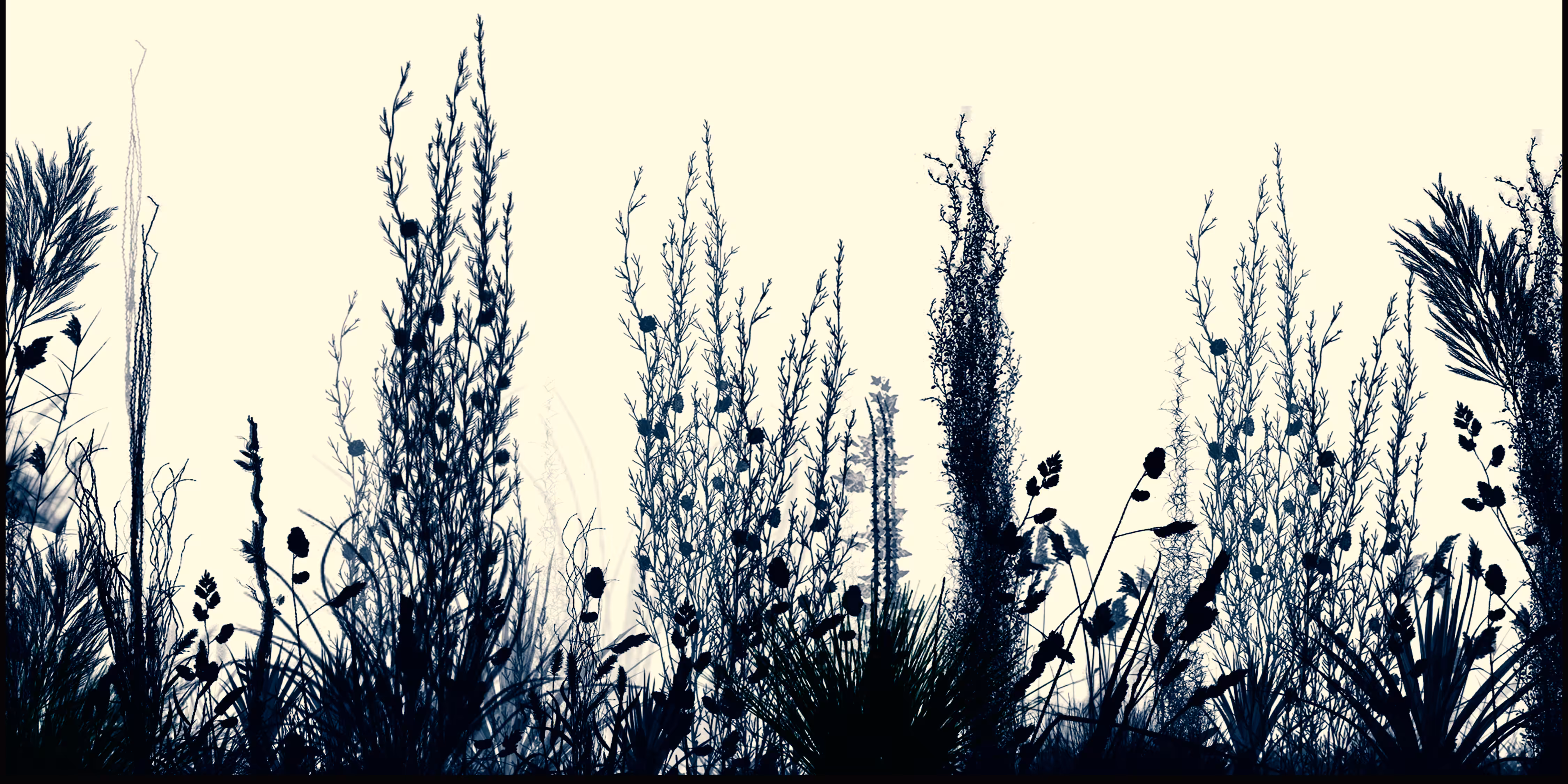 NATURALGARDEN CORDENIA