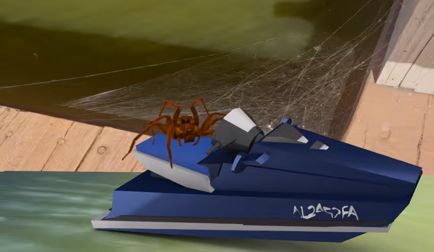 Seadoo jetski; frequent guest spiders