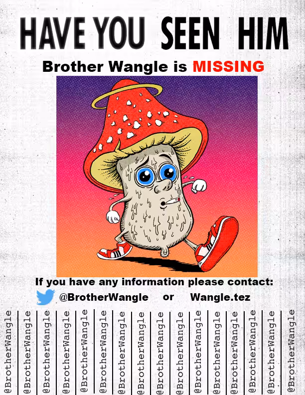 Missing Wangle 29