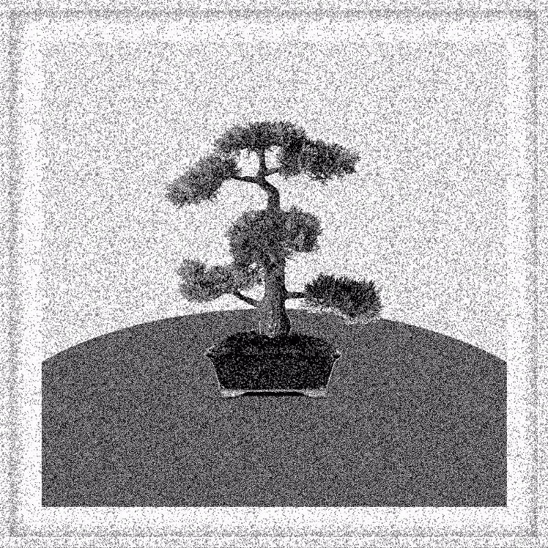 Bonsai Bonanza #101
