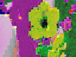 18 zx (2)