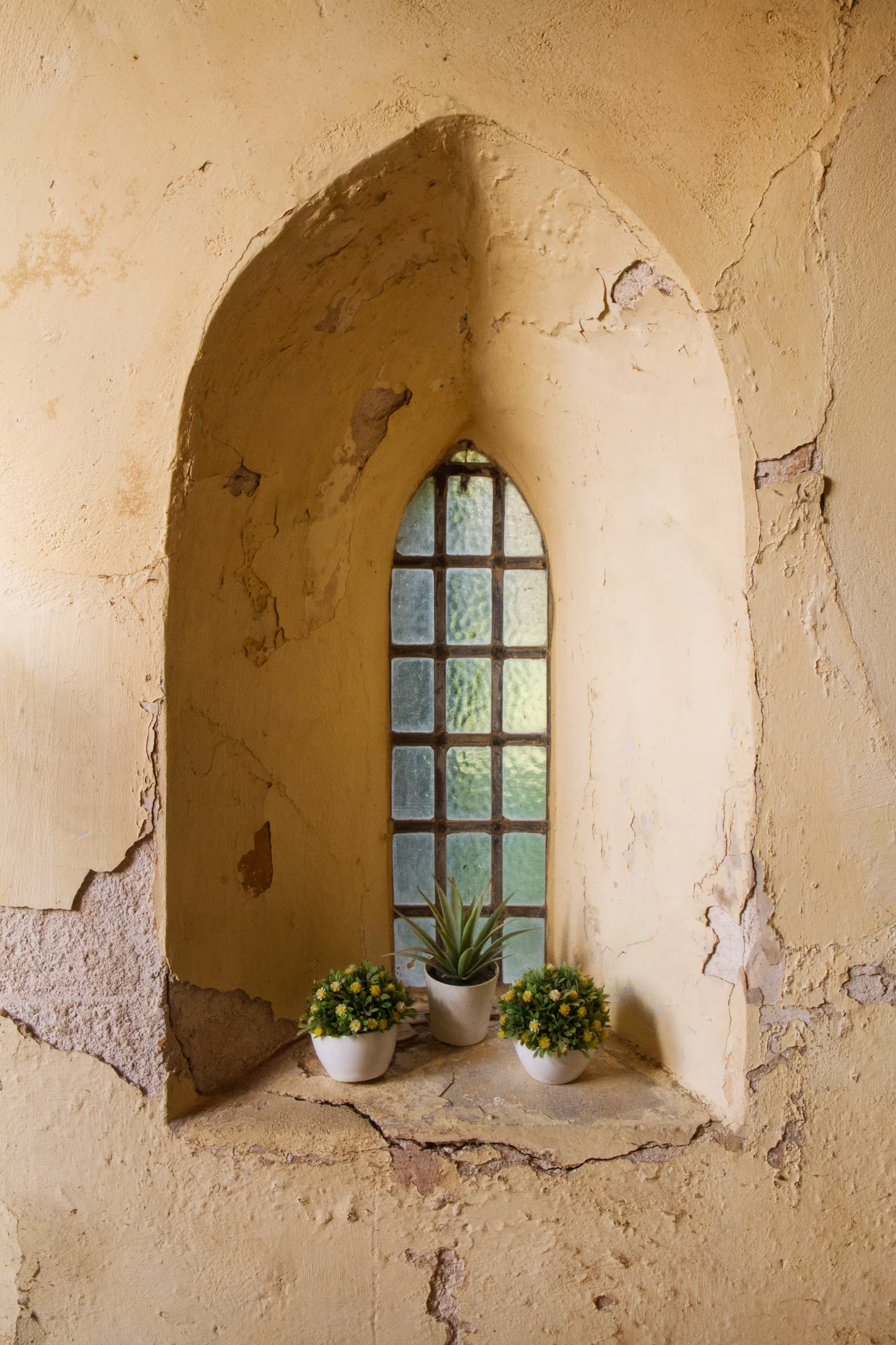 The Window
