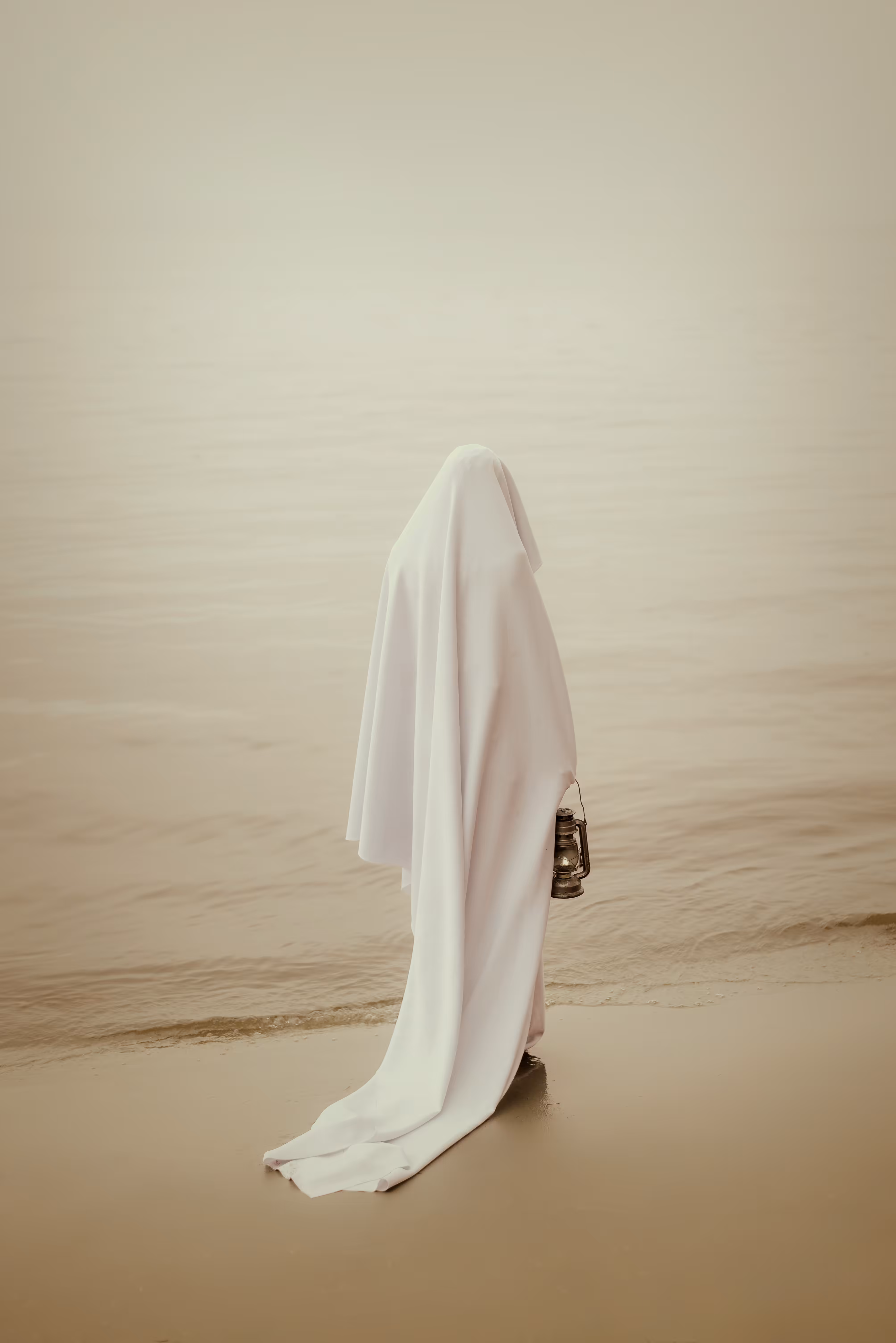 The Pilgrim 