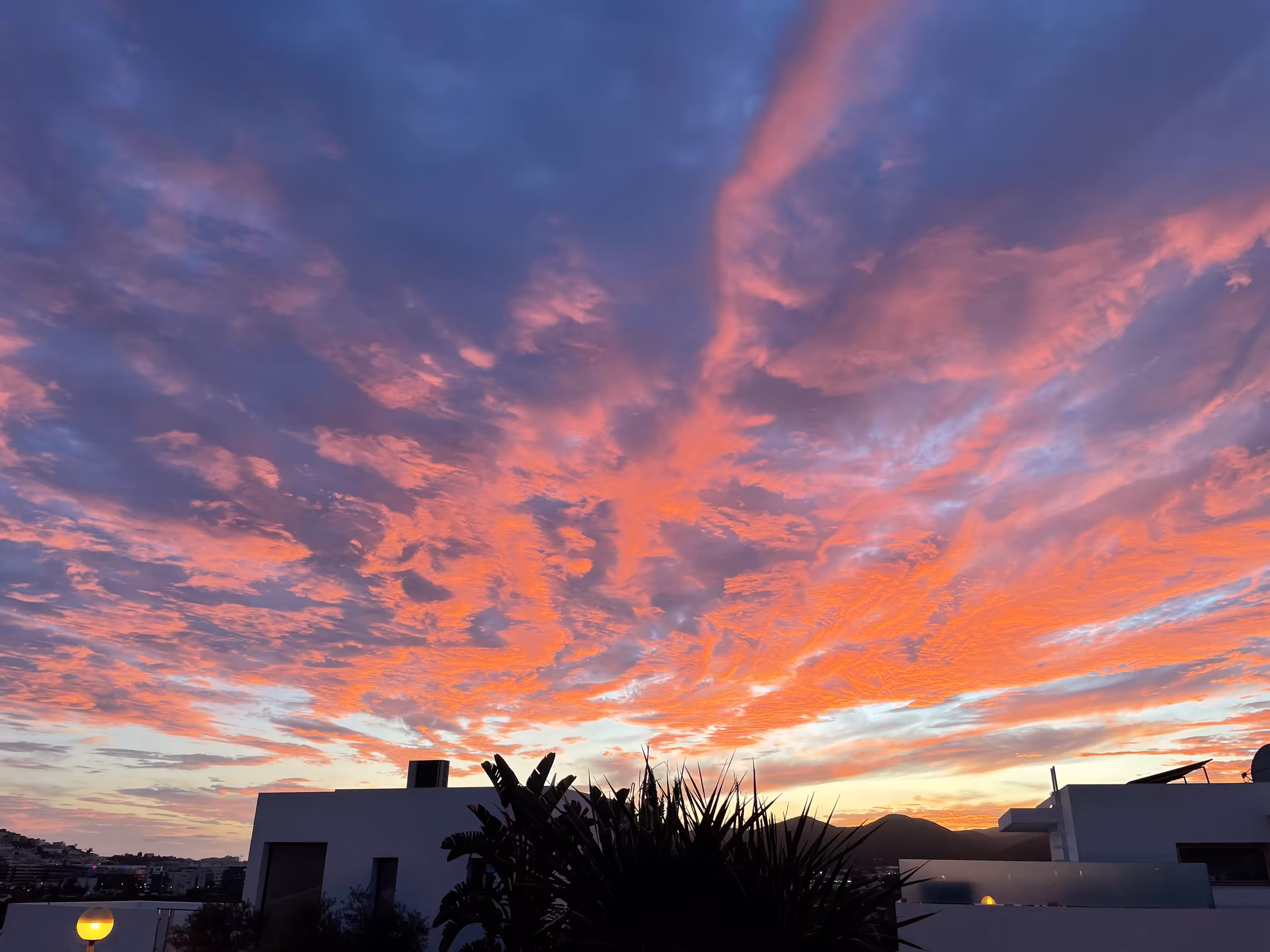 Sunset of Love (Summer ‘24)