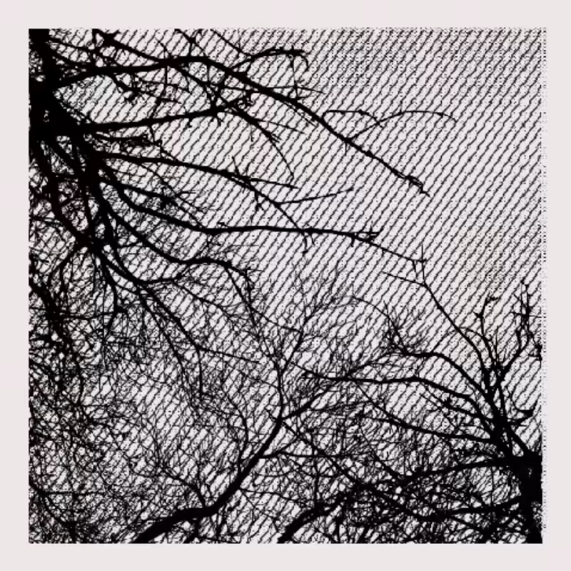 Forest of Shadows #62