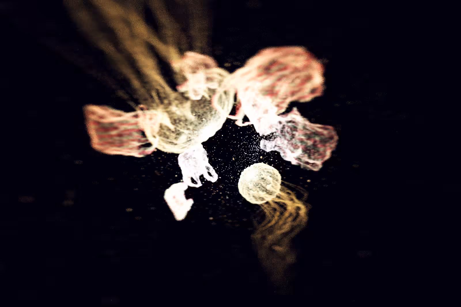 Turtle Vision #166