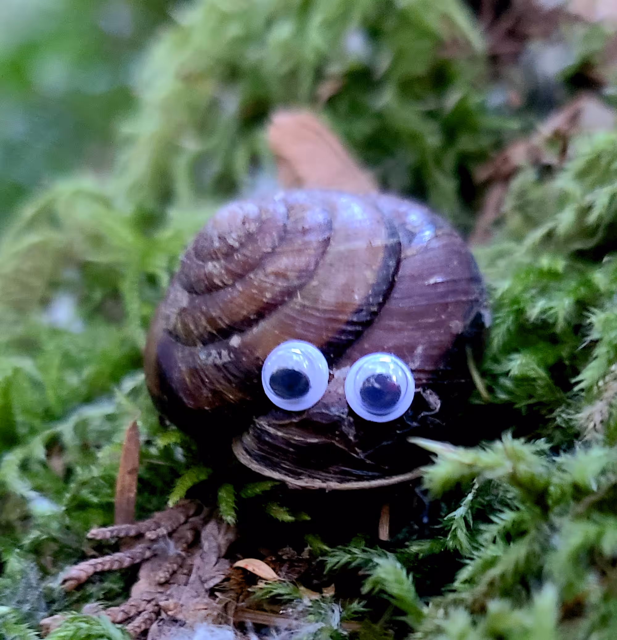 Googly Eyes 007: Persephone