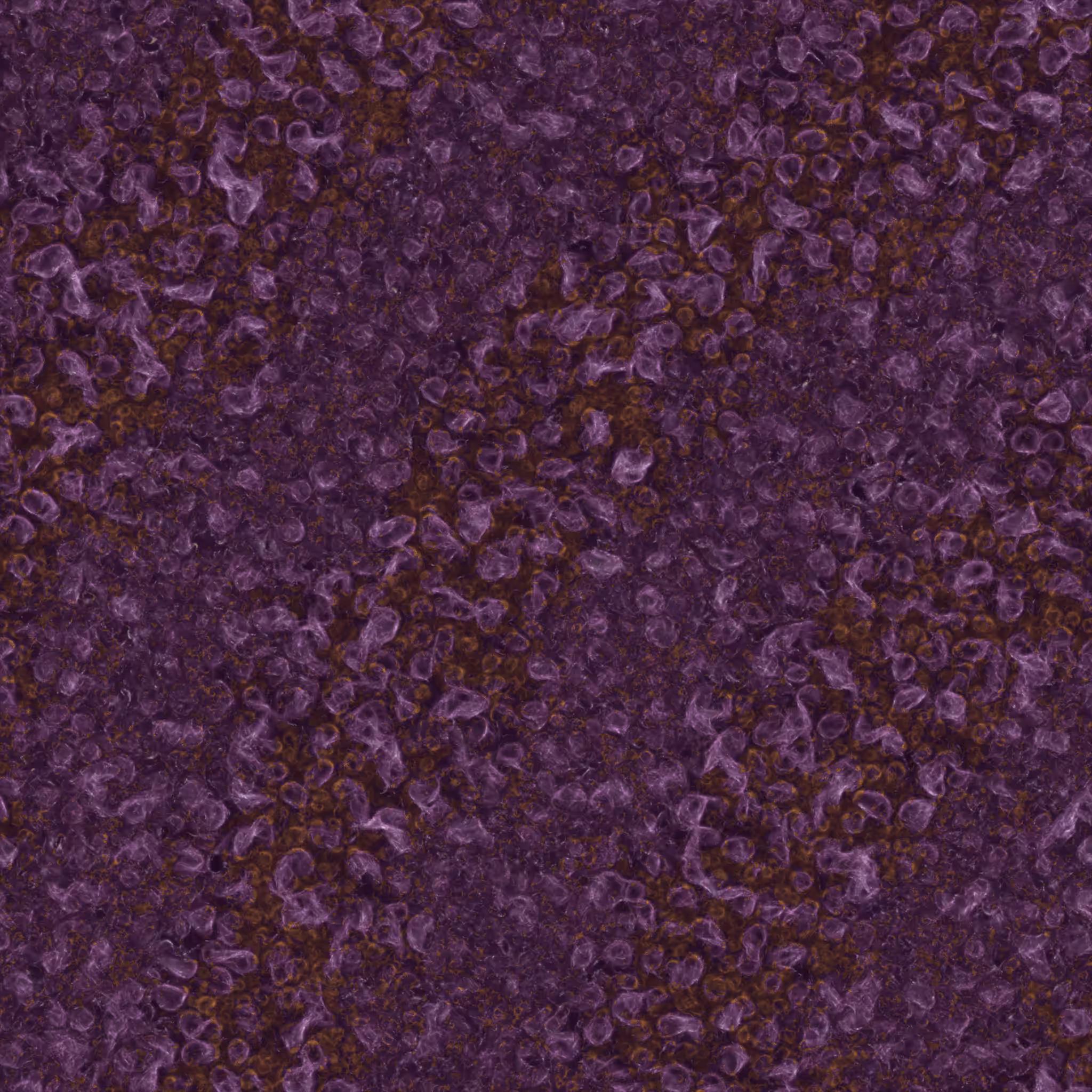 saprophyte #139