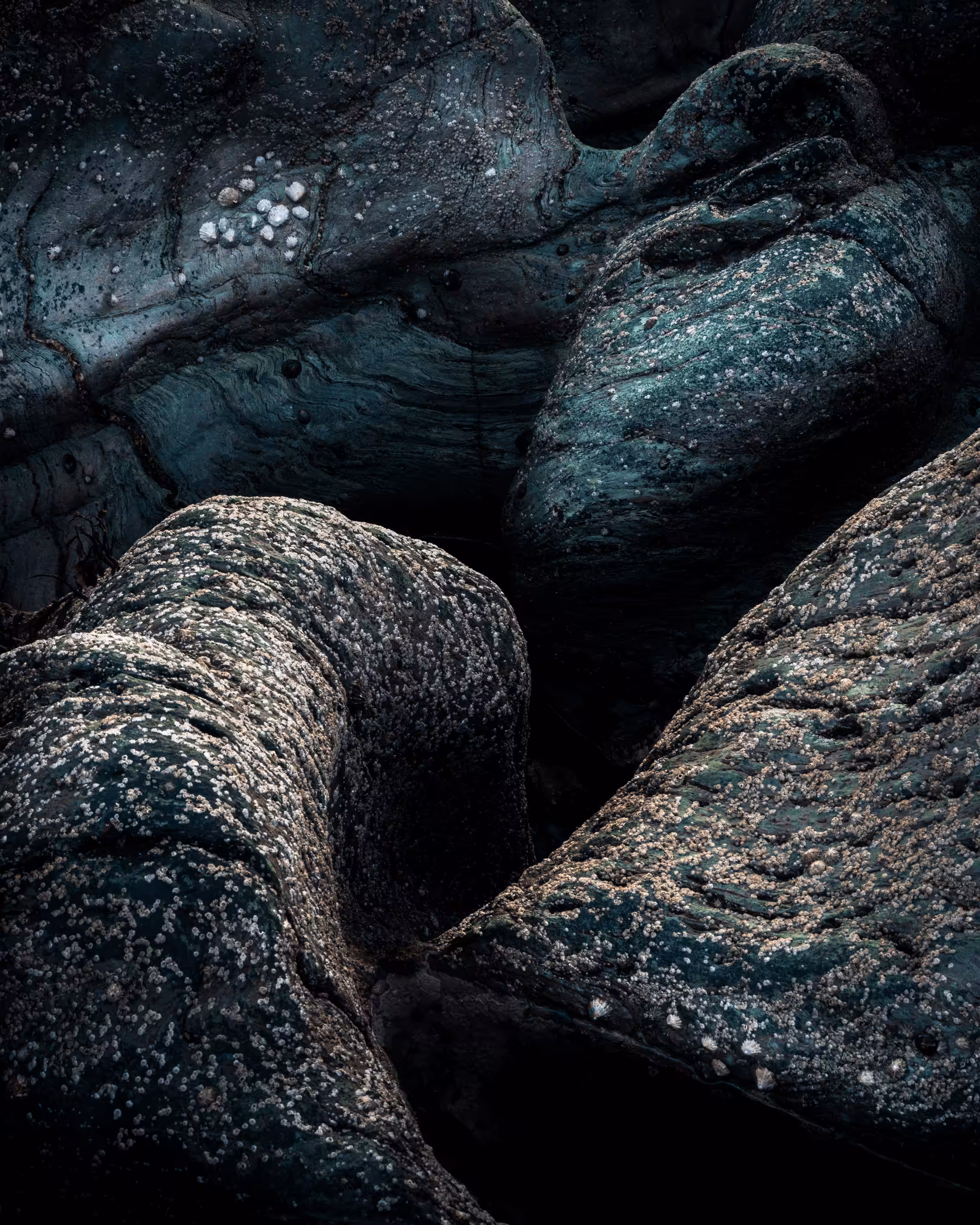 Elements #7 - Folded