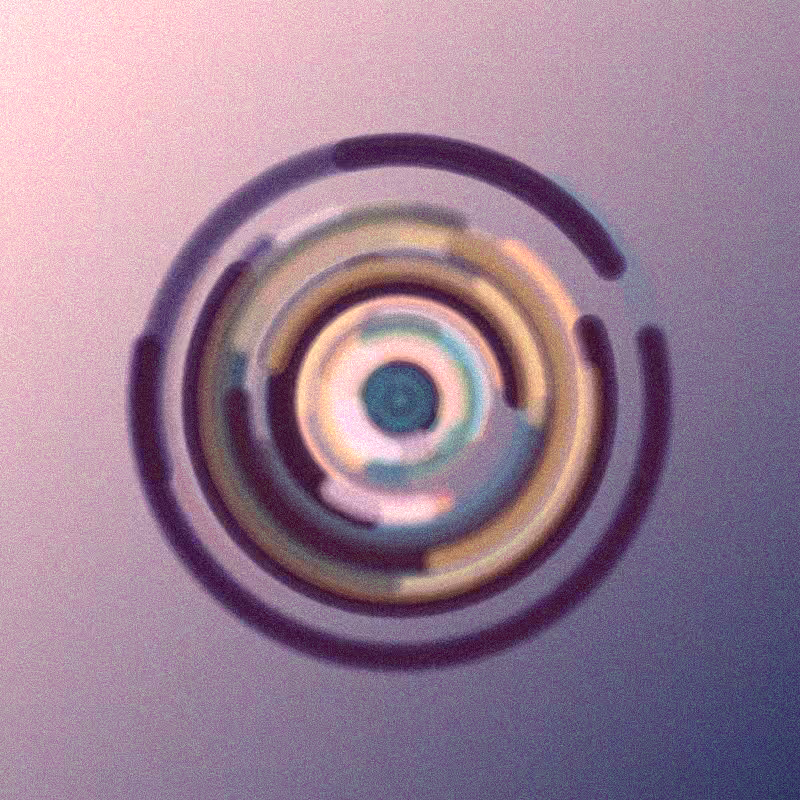 Wisp #557