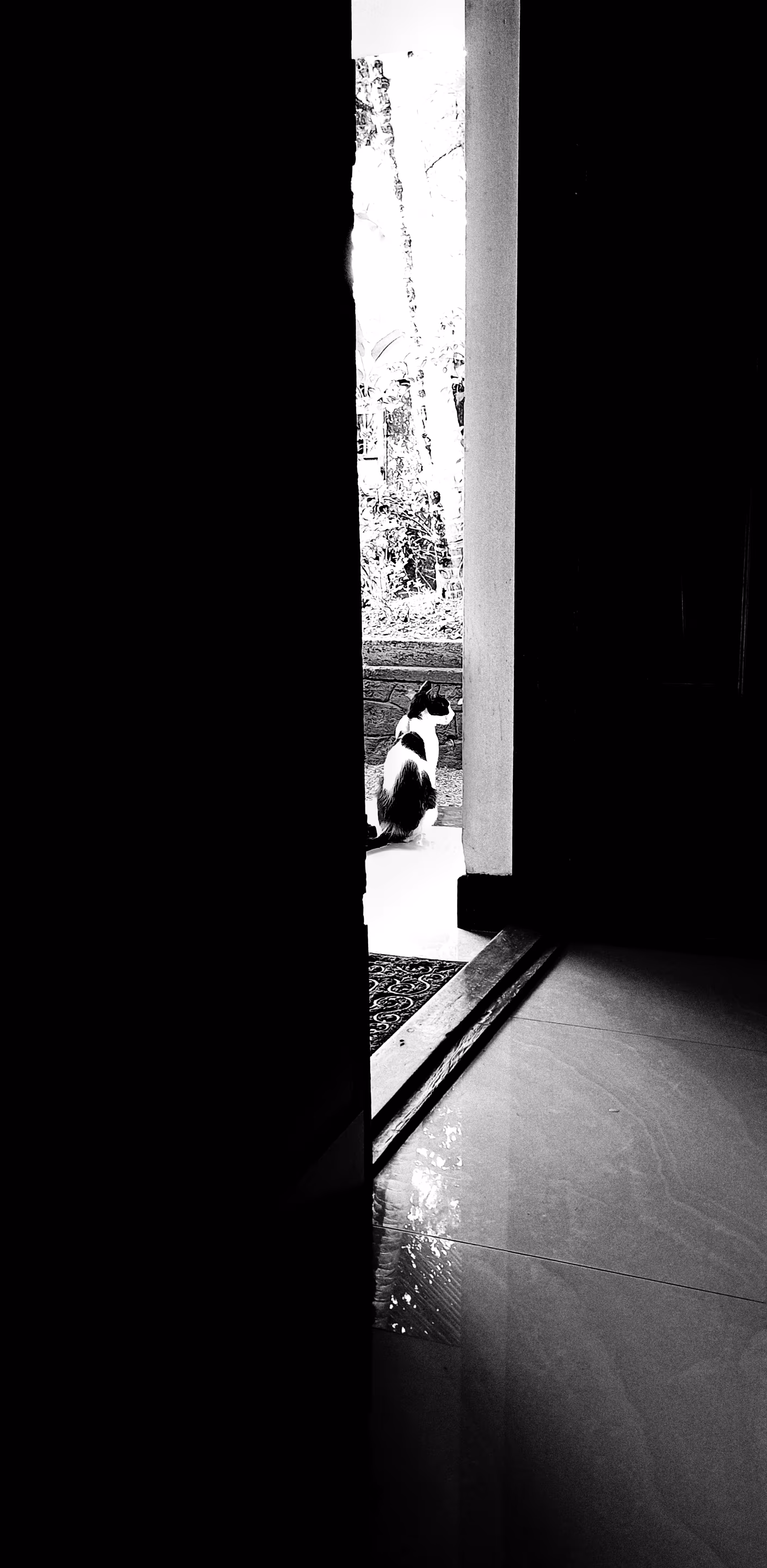 Shades of light