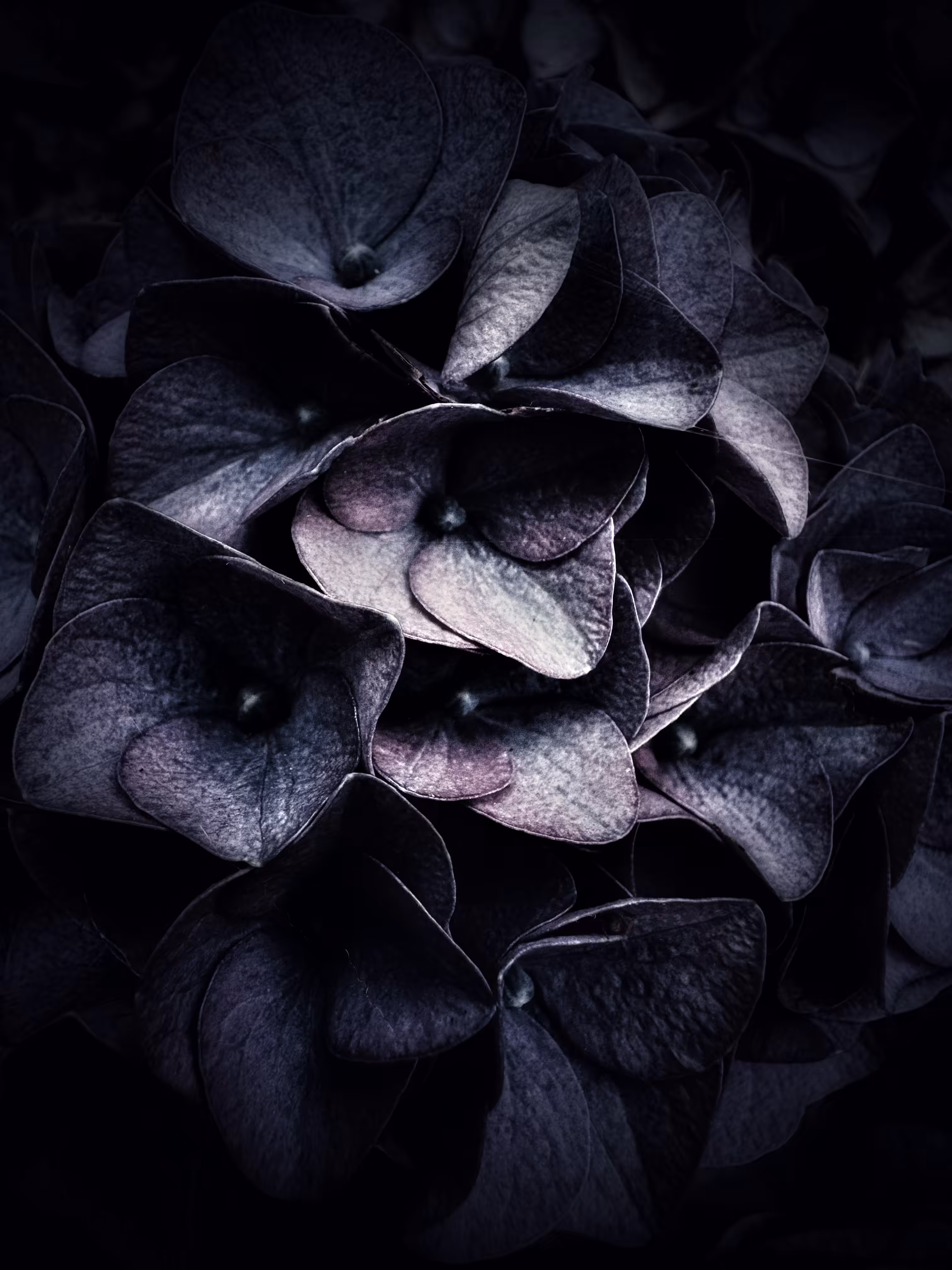 Deepest Night