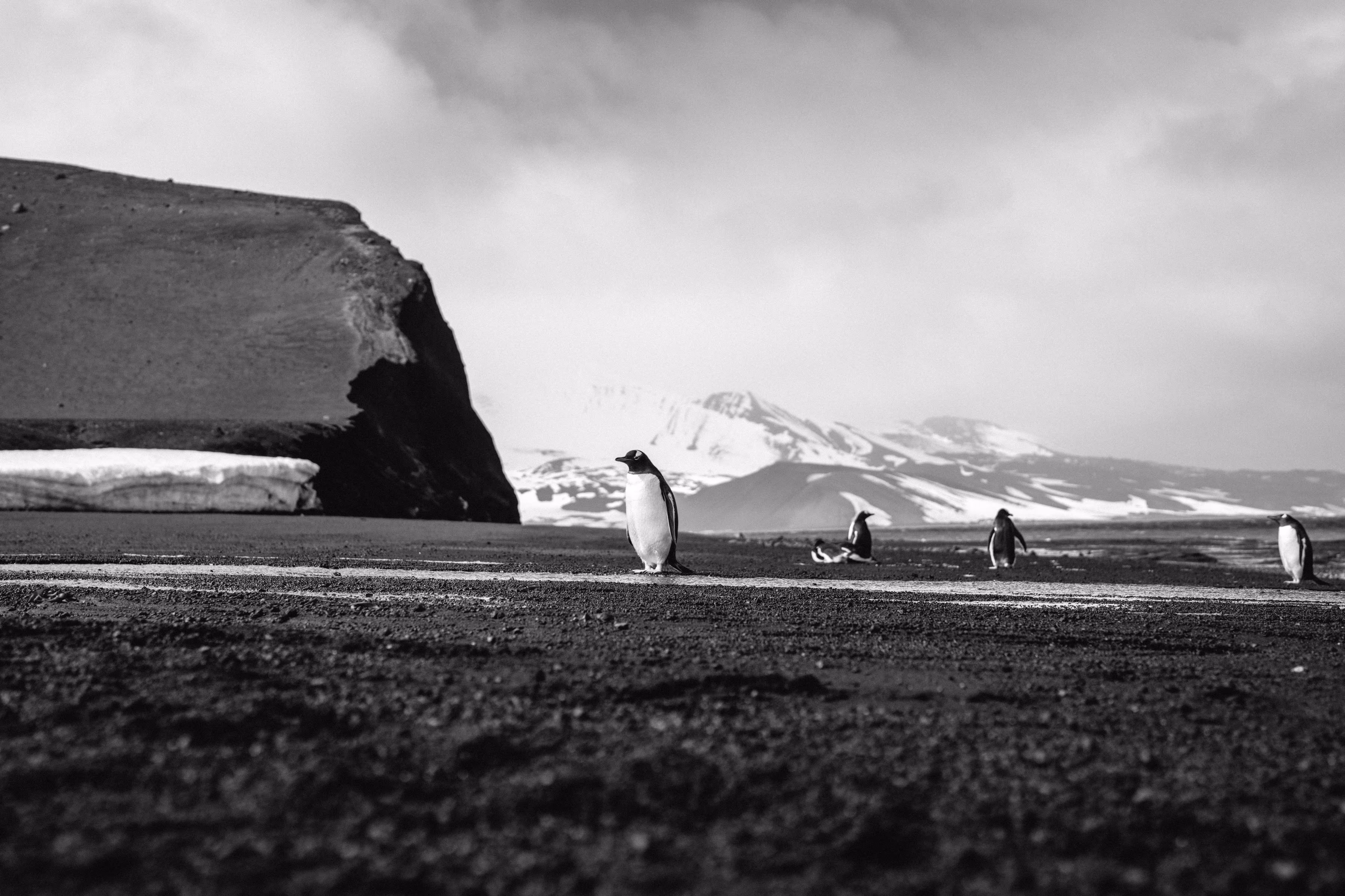 Black Sand Beach