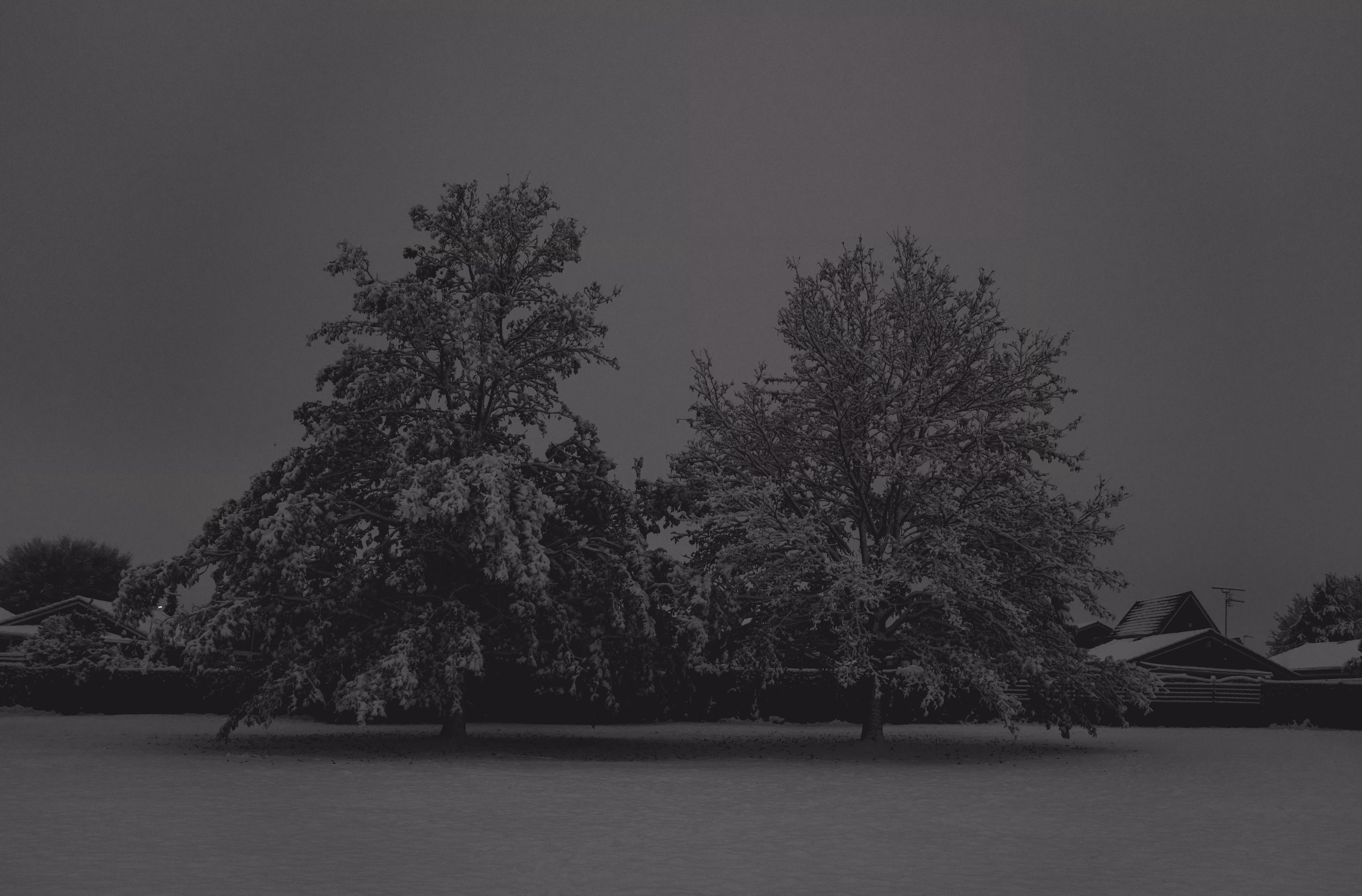 grey at 6am