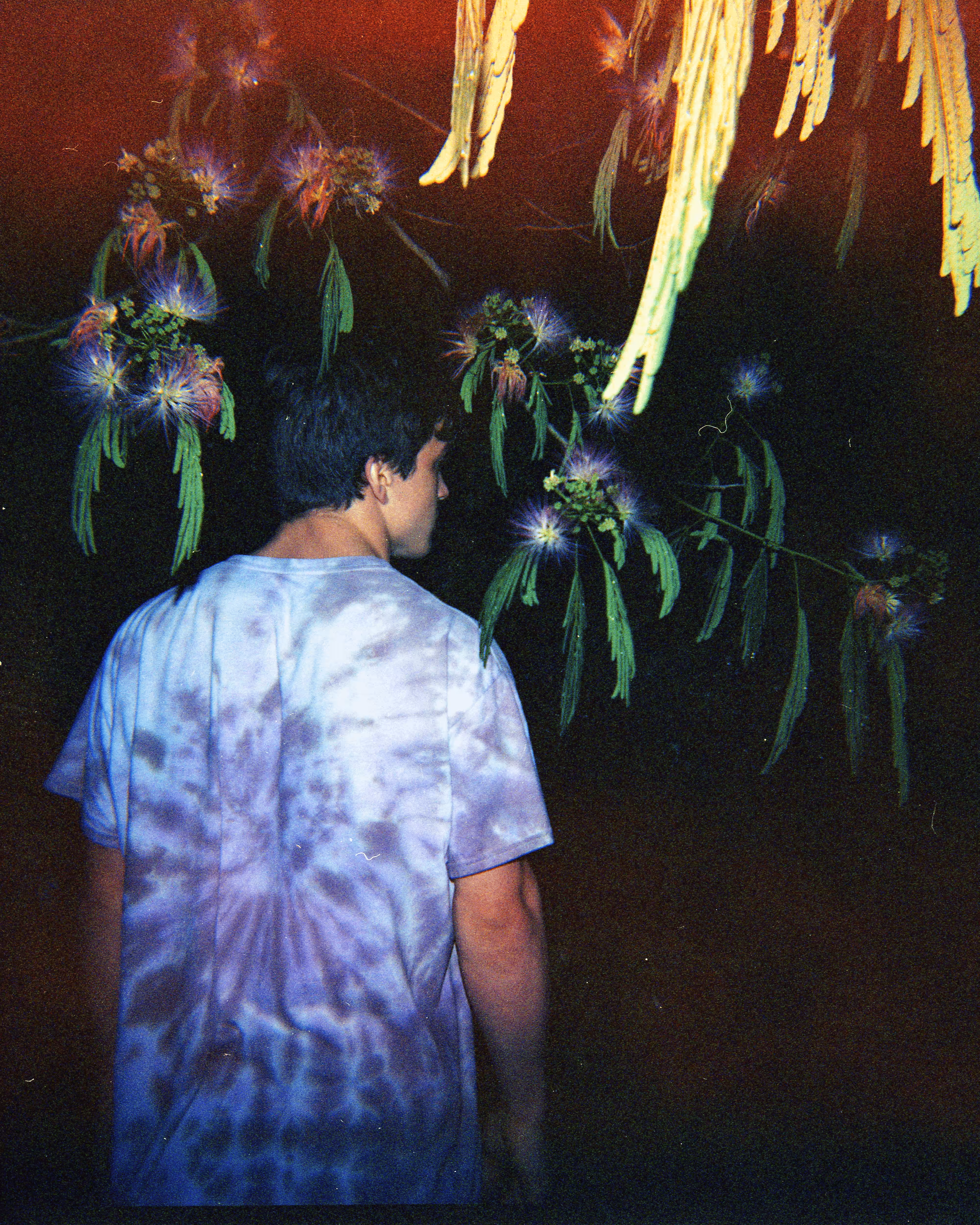 Shot on Holga #5: Floral