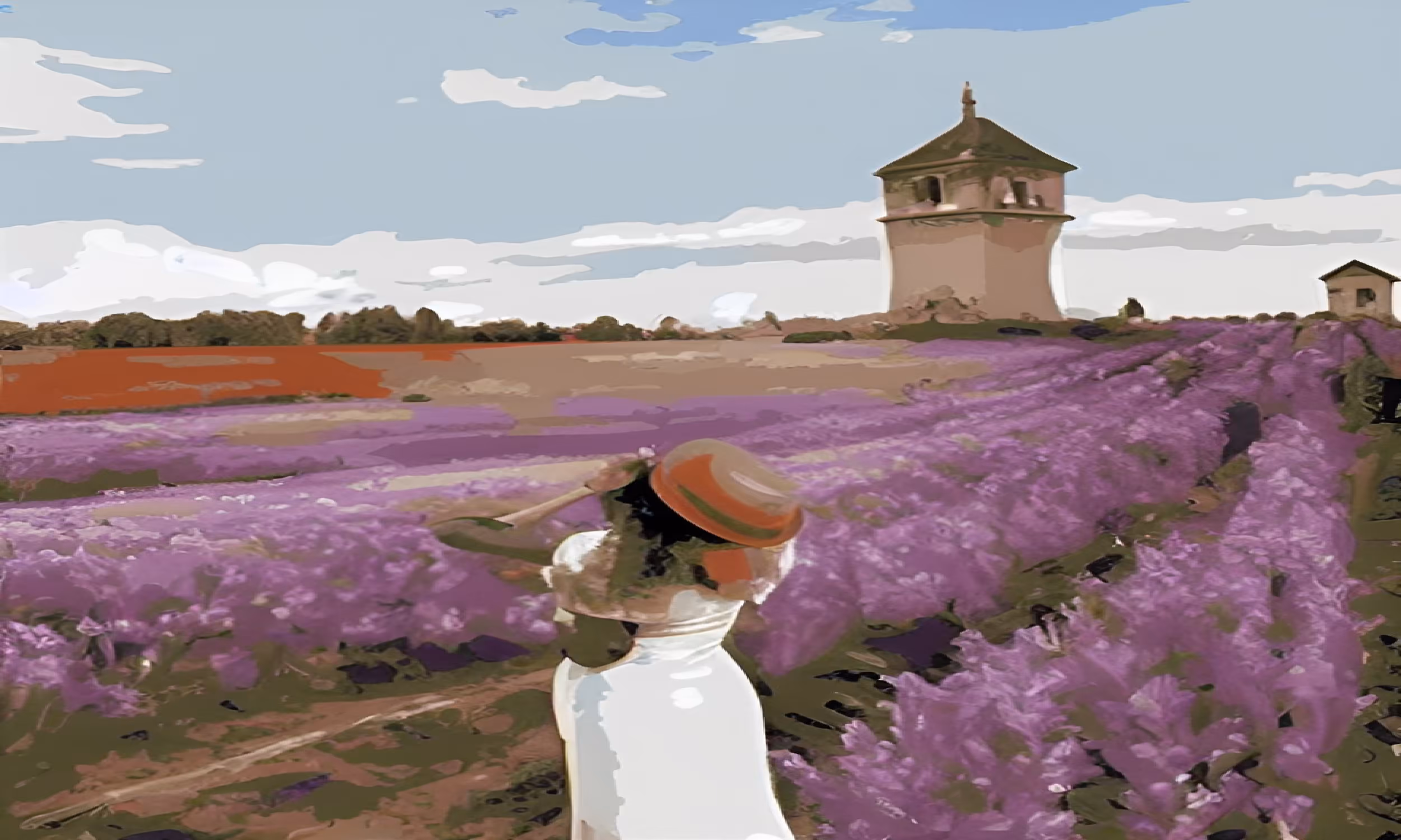 Purple field 12