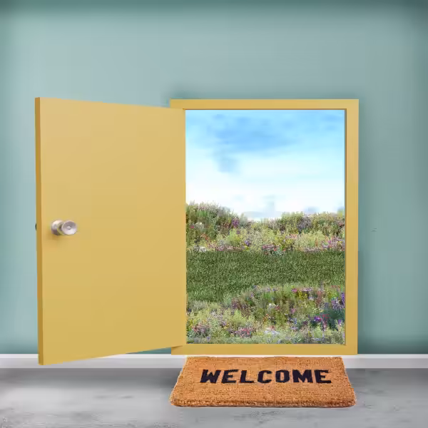 The Door