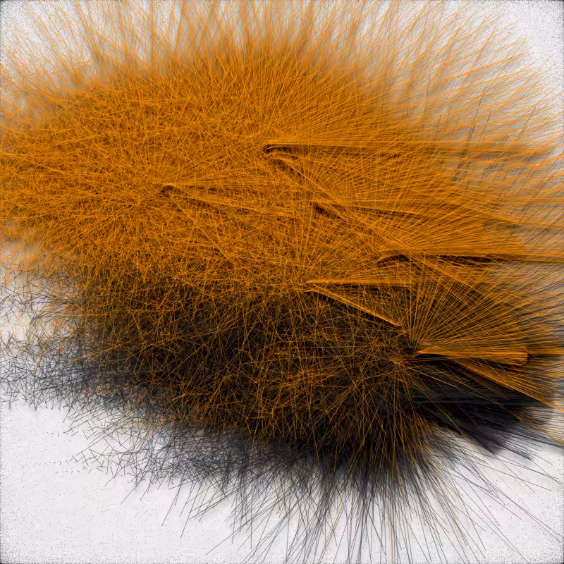 urchin #59