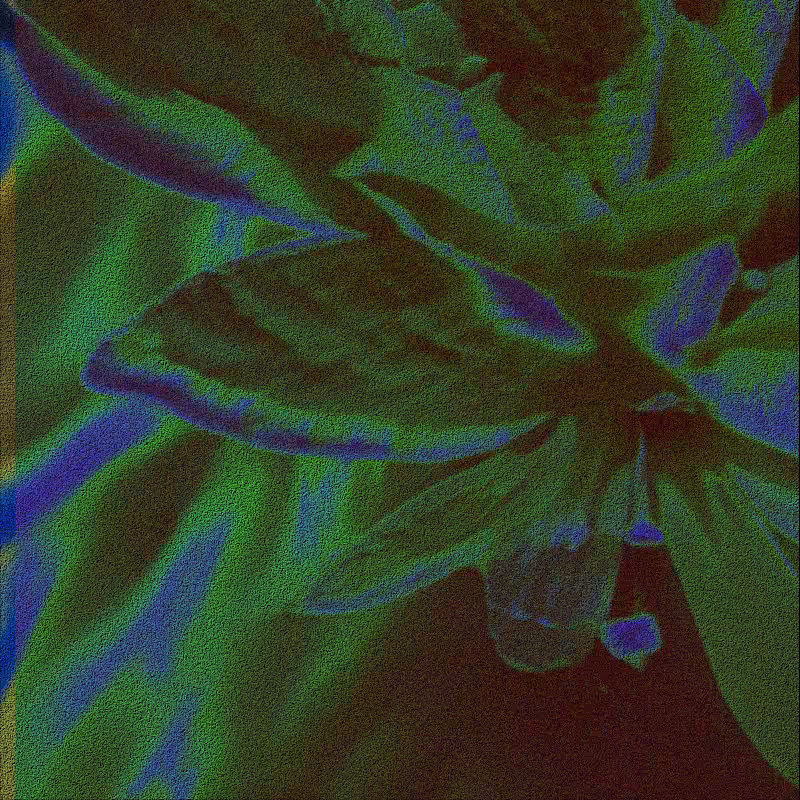 CLDCSMC #83