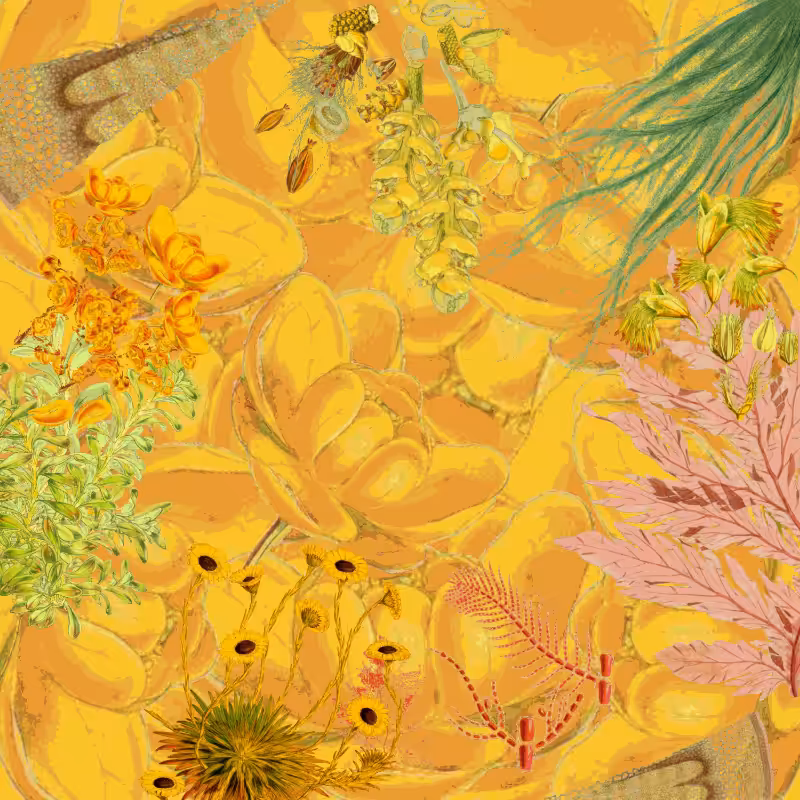 future flora from Antarctica's past #49