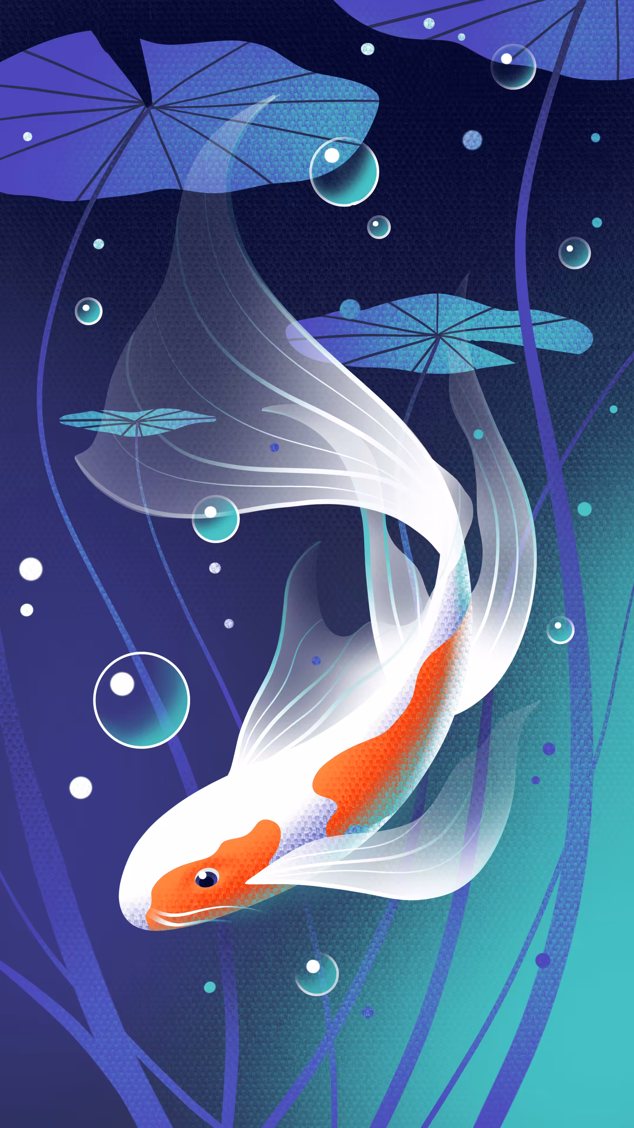Koi
