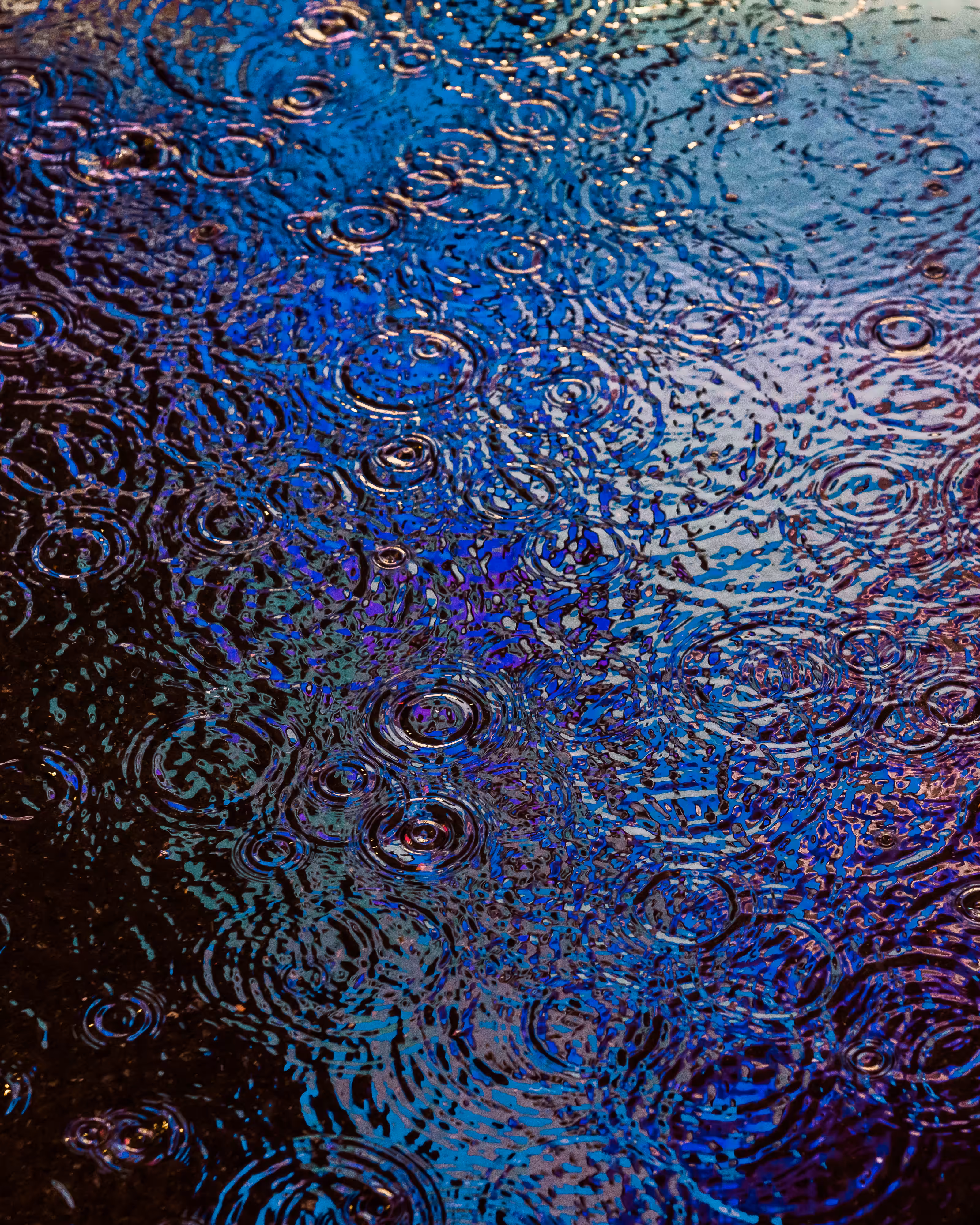 DRIP DROP: DRIP #377