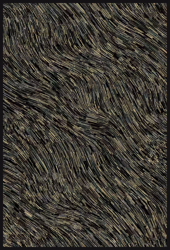 Tūroa #15