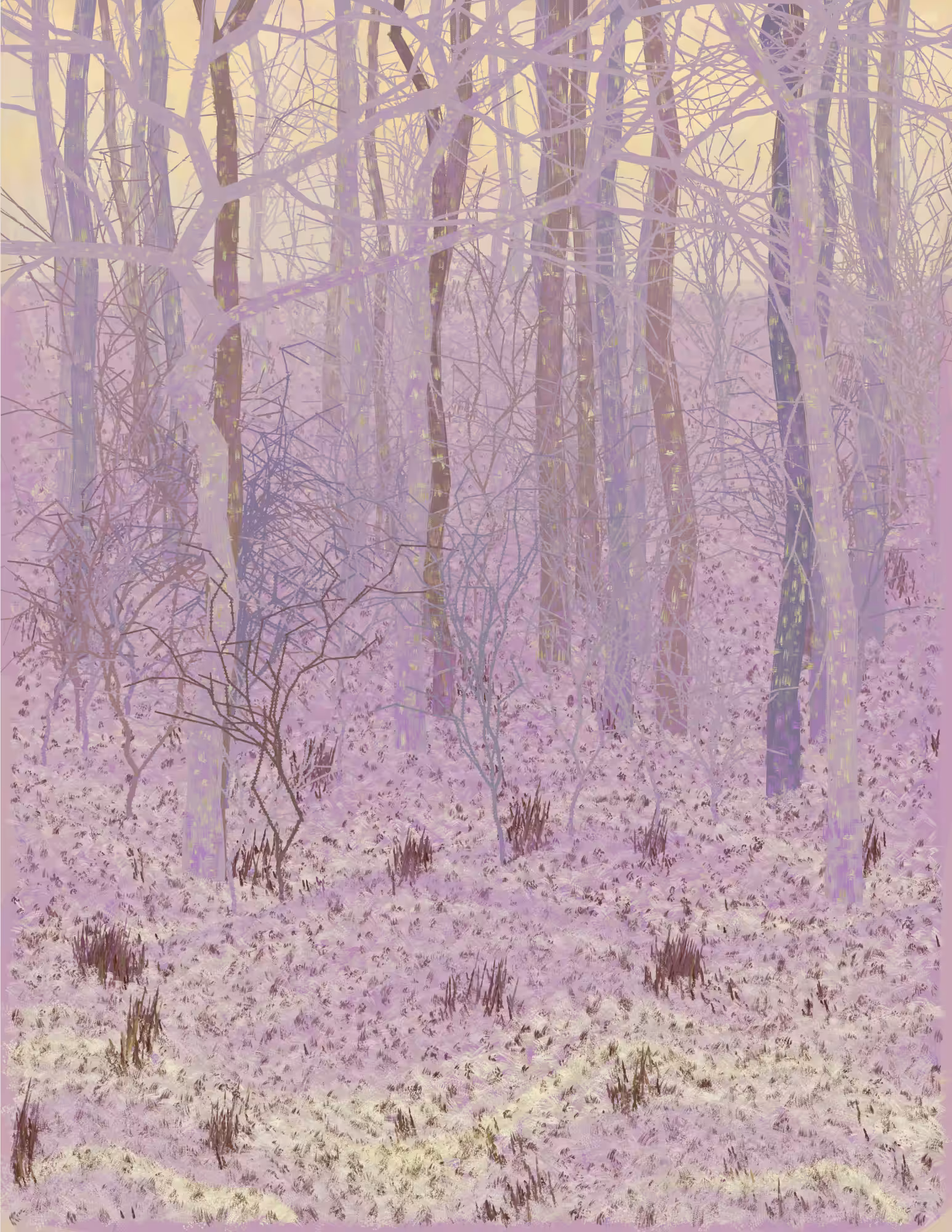 Deep Forest #318