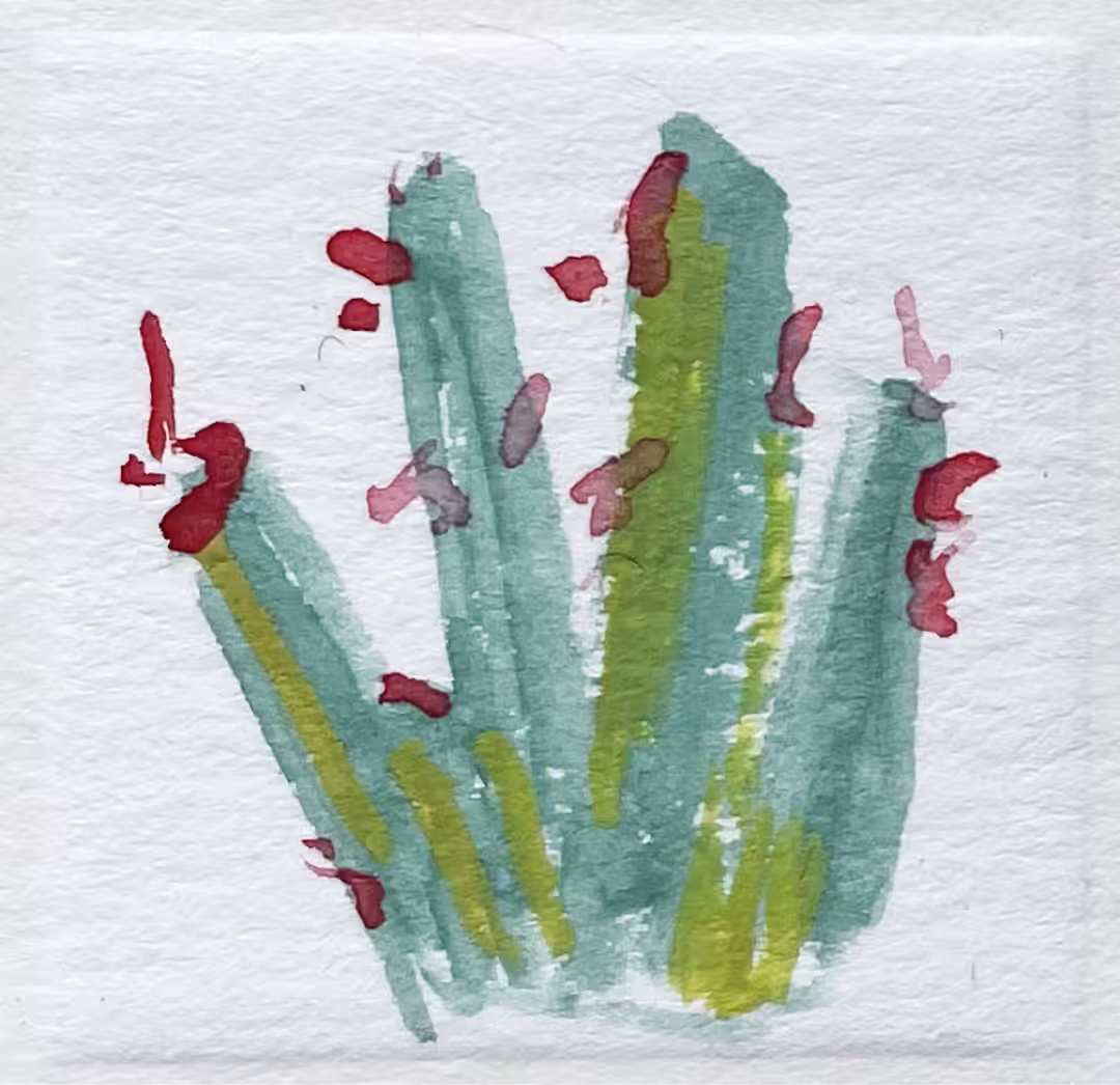 064 ocotillo
