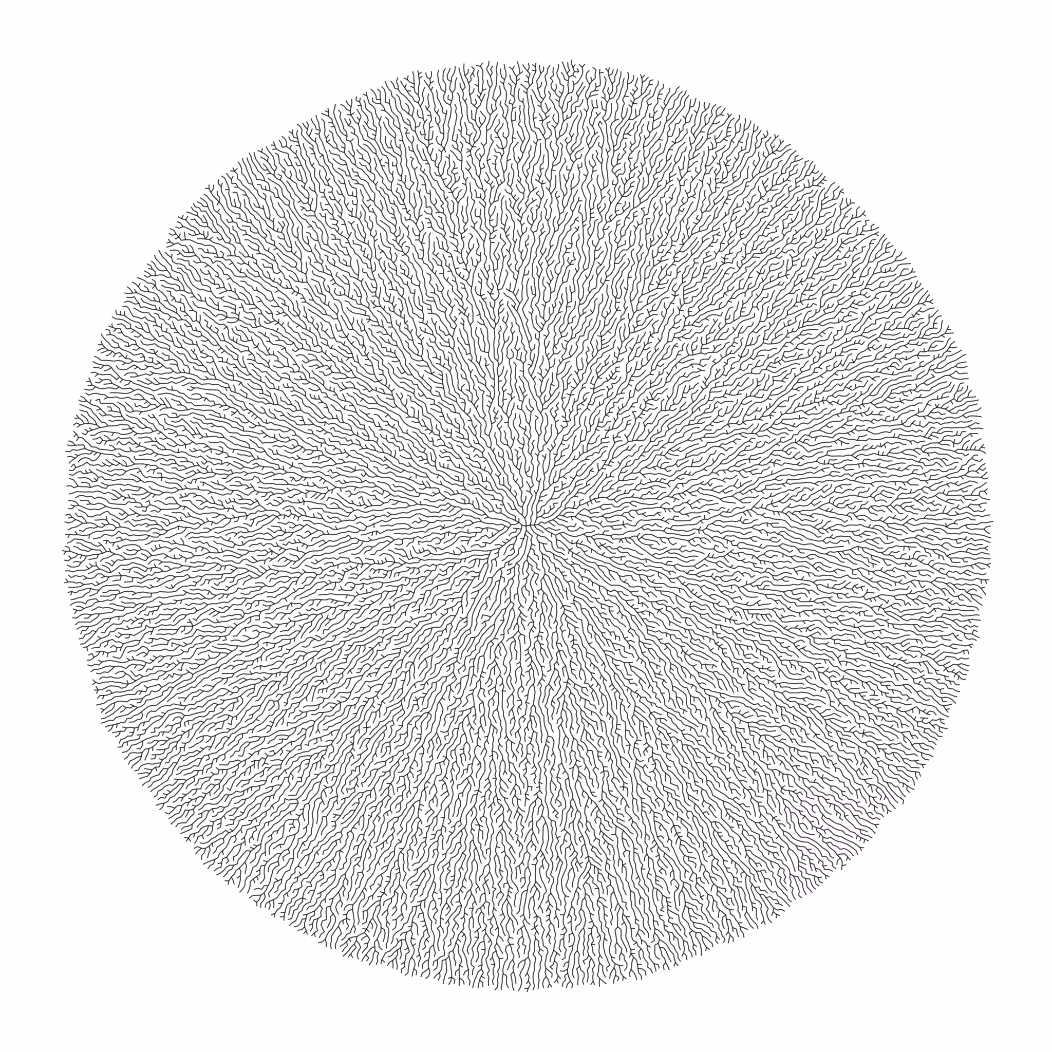 Poisson-Disc Grow Patterns