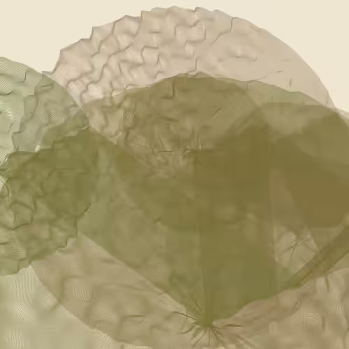 Lillypads #3