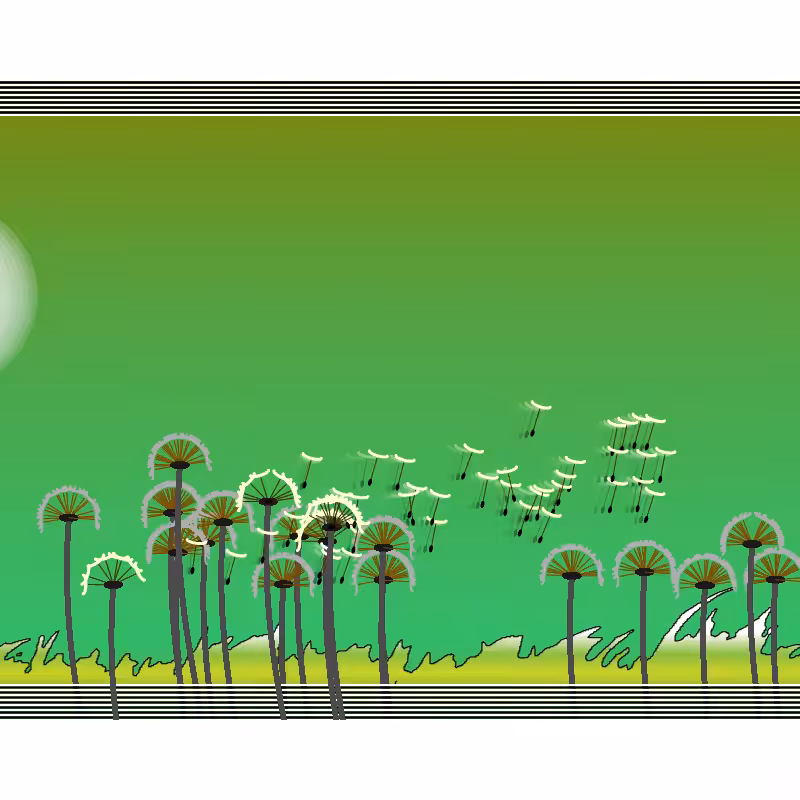 Dandelion Field #4