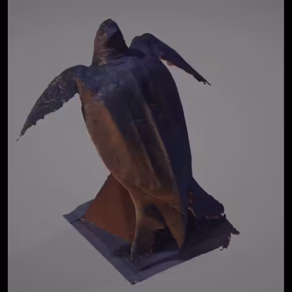🐢Tribute to Land🐢