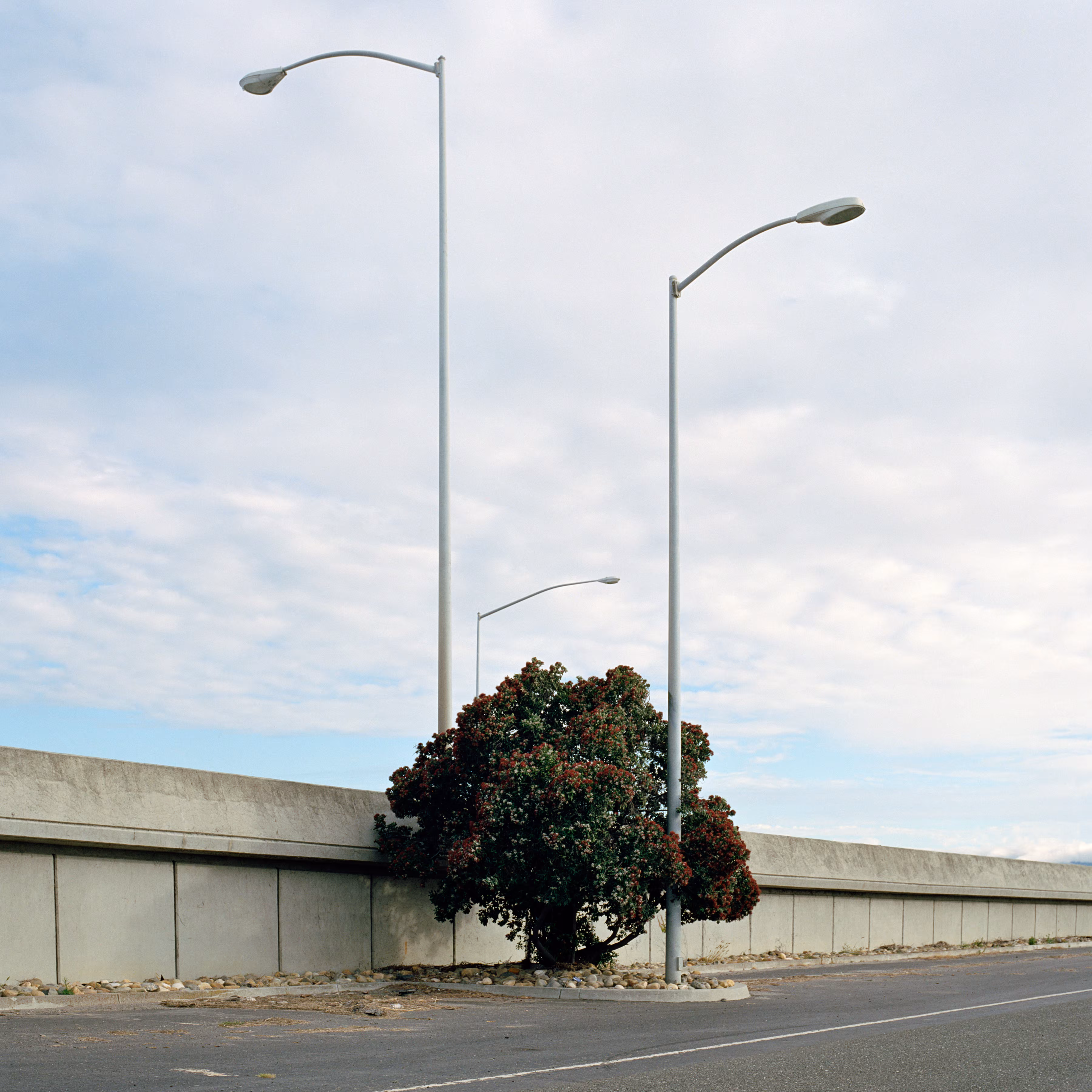 Treemeat / Year 02 / ADK05