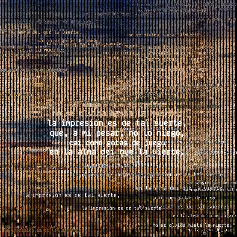 A hacker in the Pampas #132