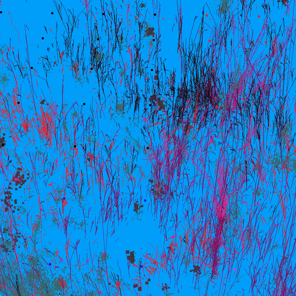 Infinite Garden: 13591 Flowers