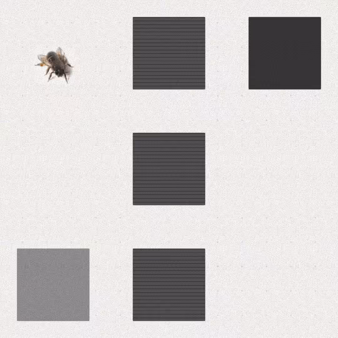 Bee #95