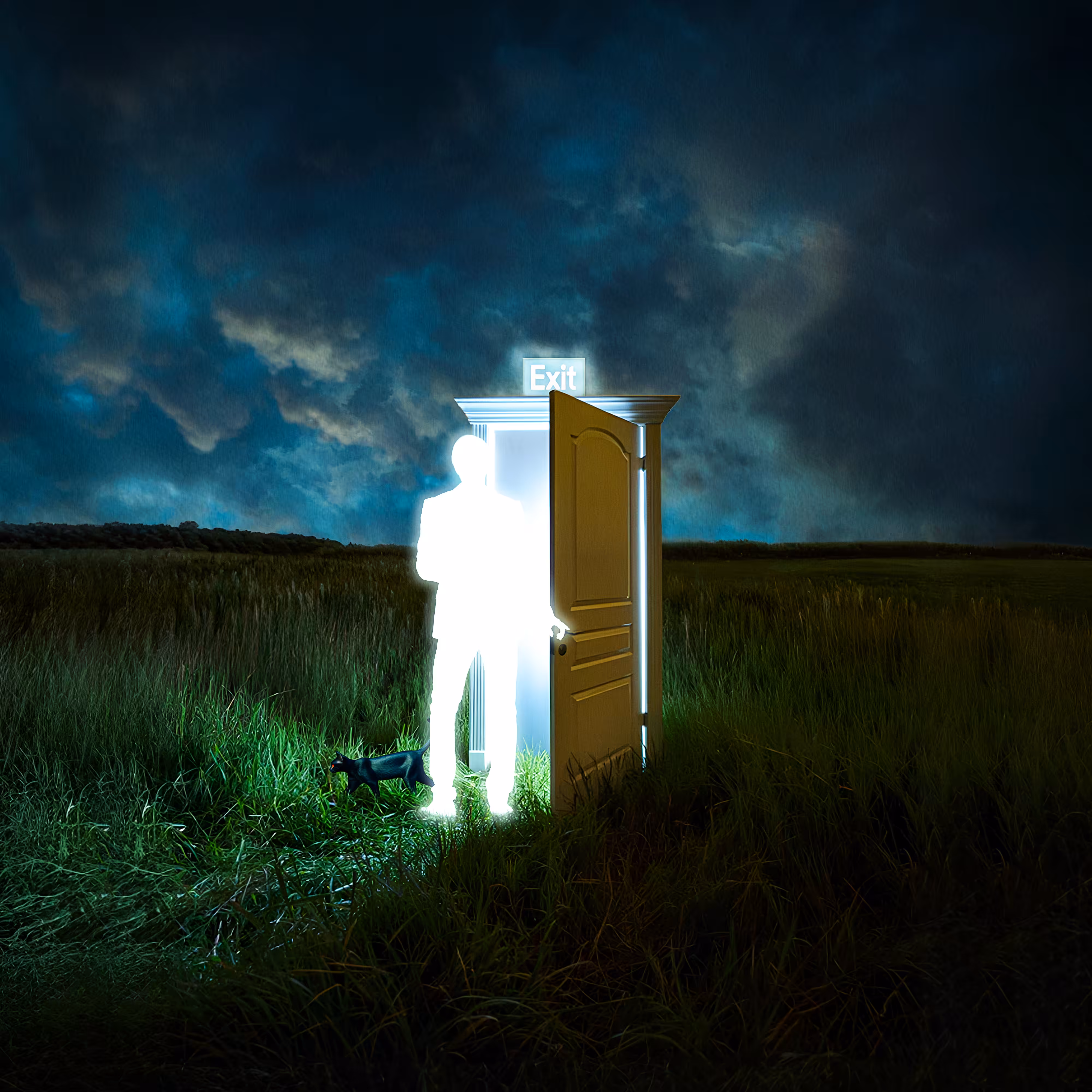 Error: Reality Not Found: All My Glows Have Grown Exit Signs 