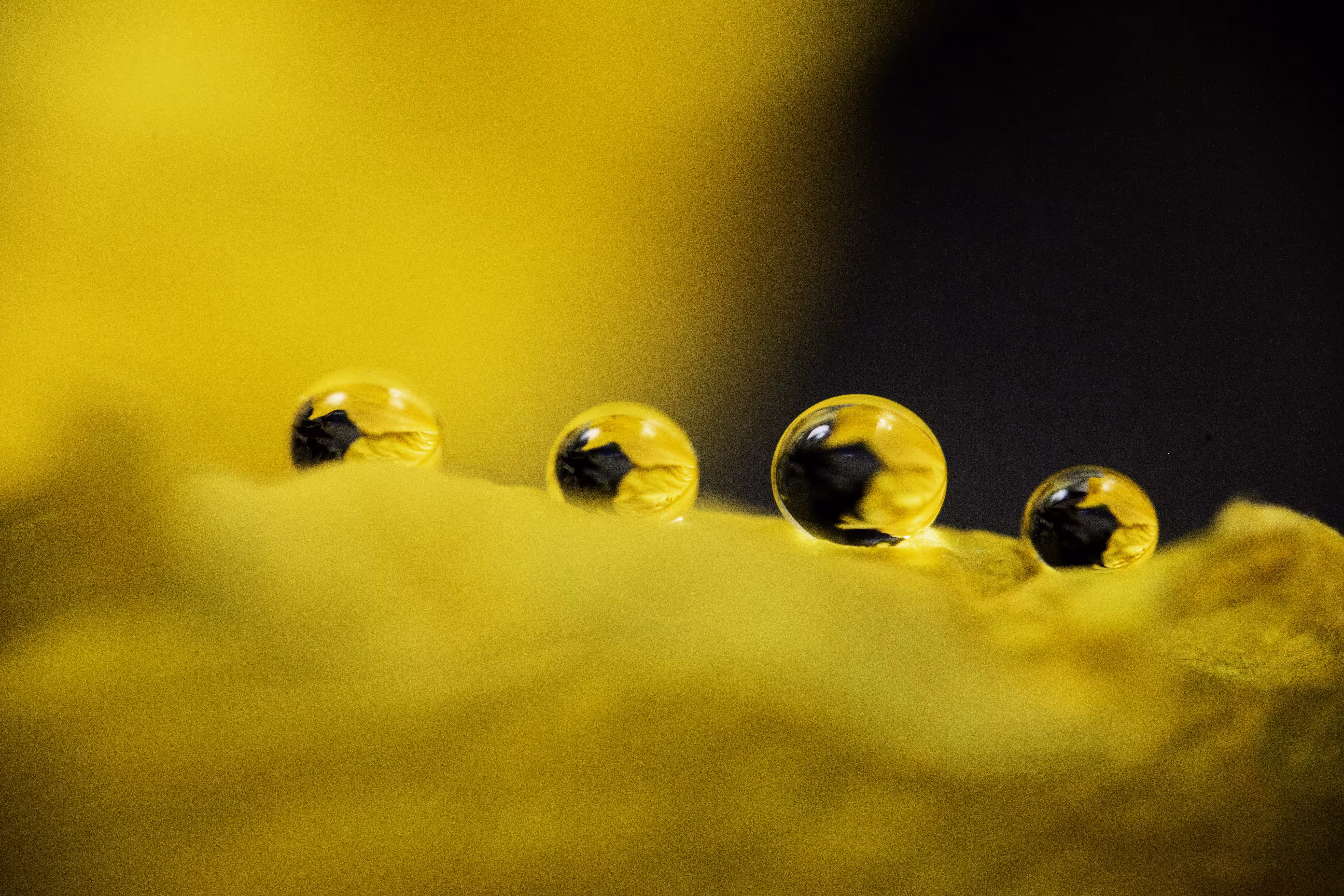 Lemon Spheres
