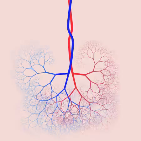 capillary trees #4