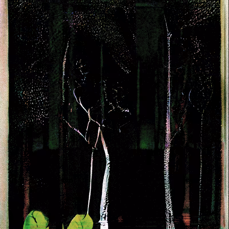 The Hum of Cyber Forest #204