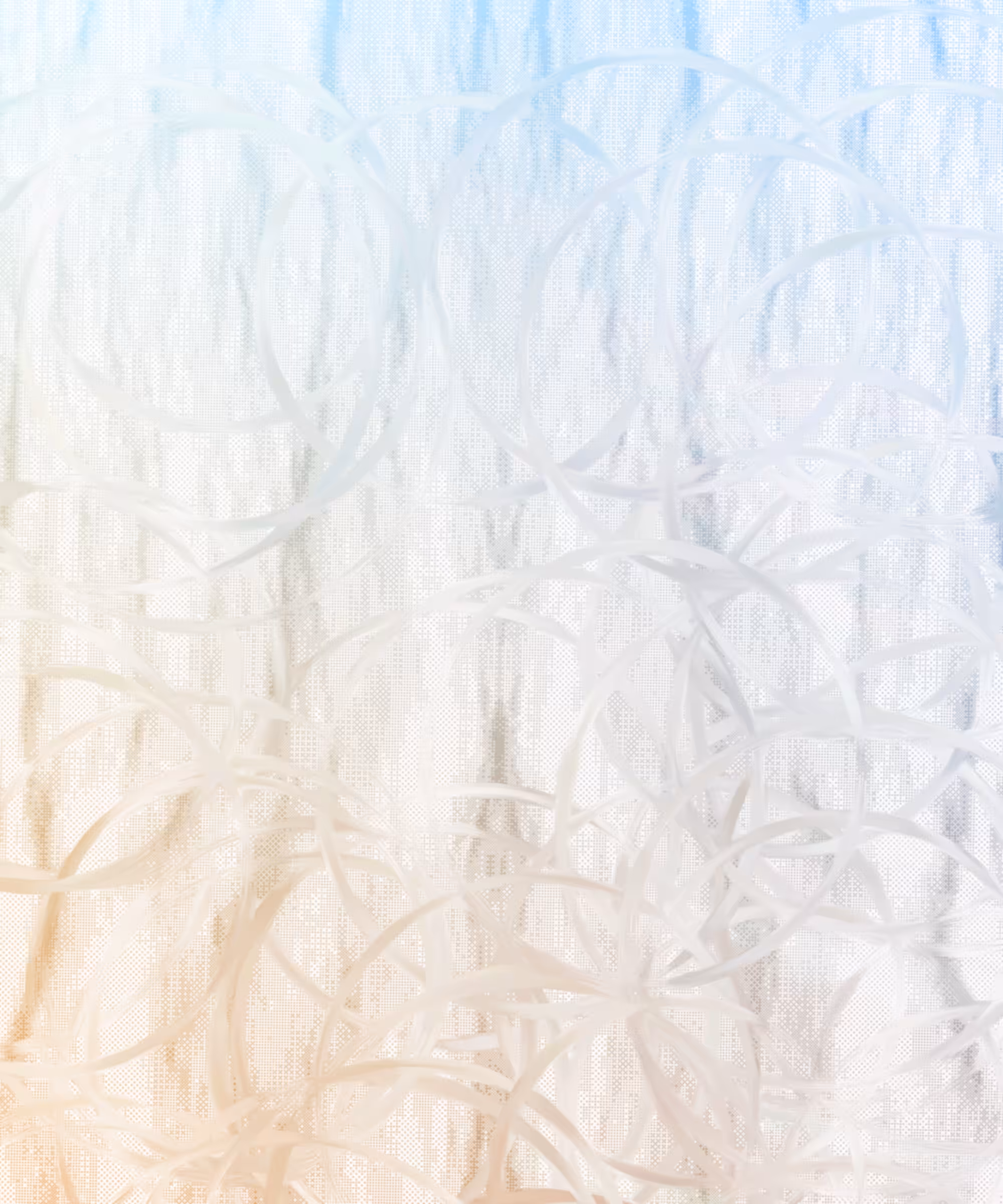chaos comes with the summer haze #118