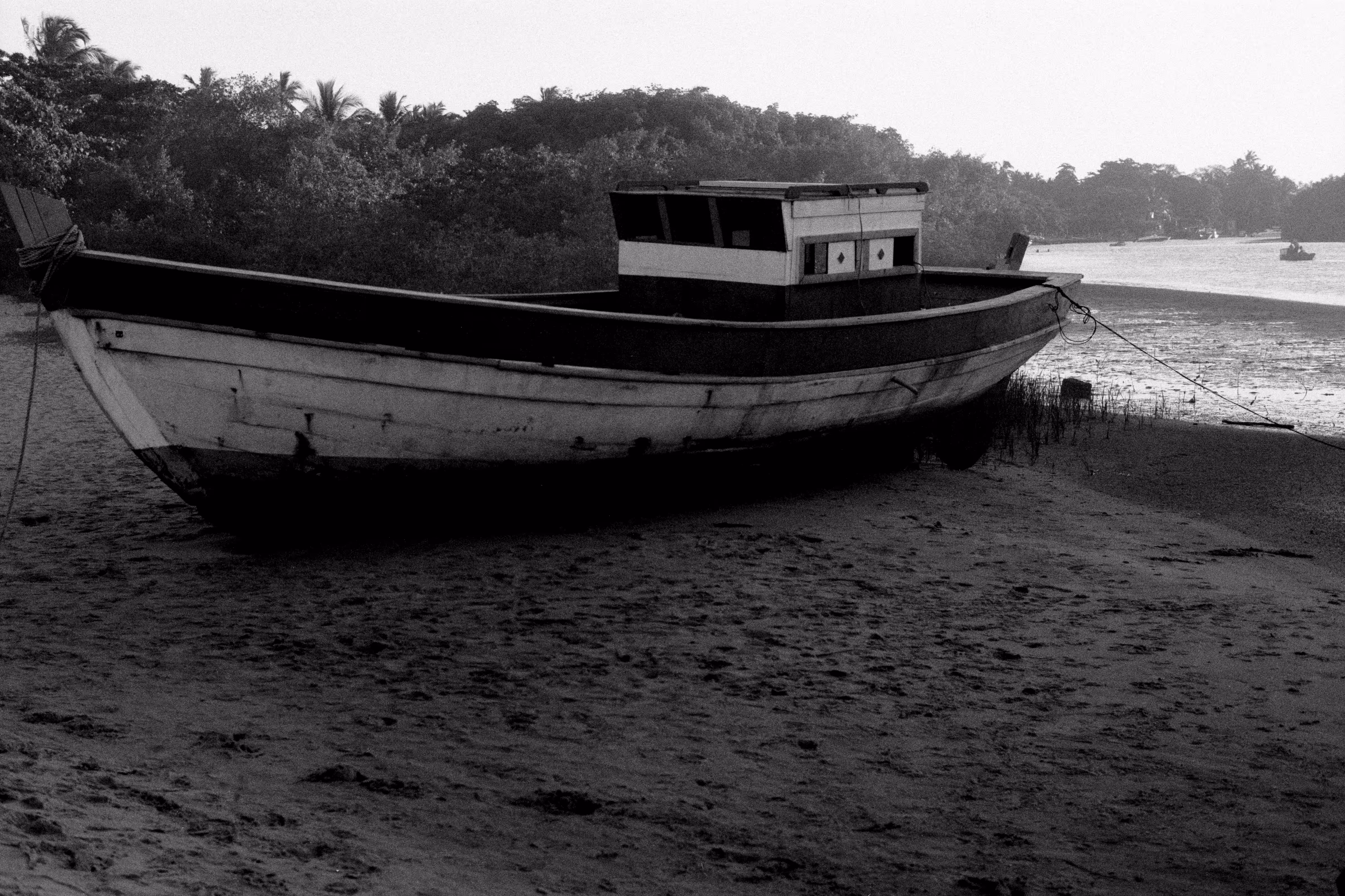 Low tide