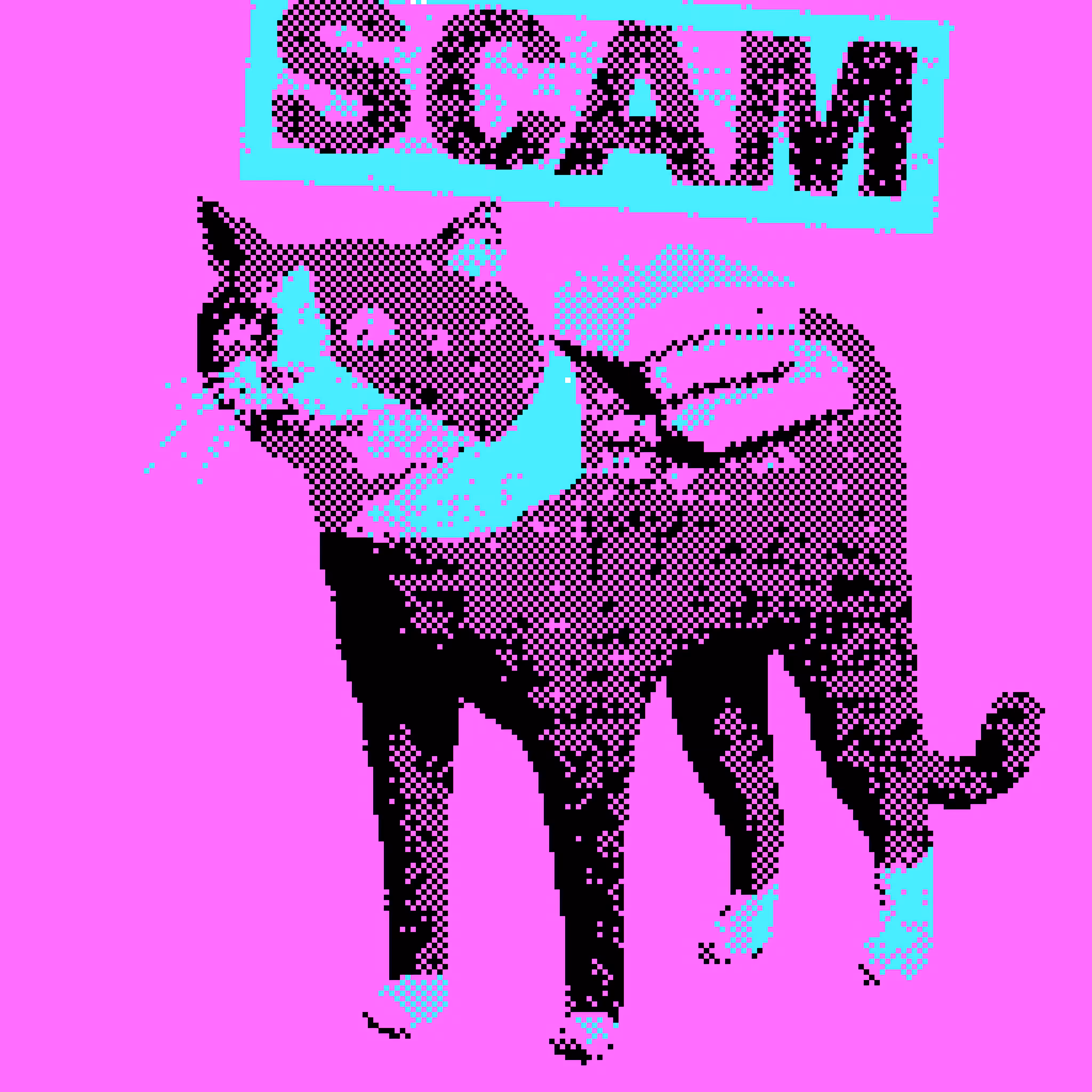 SPAM CAT #2