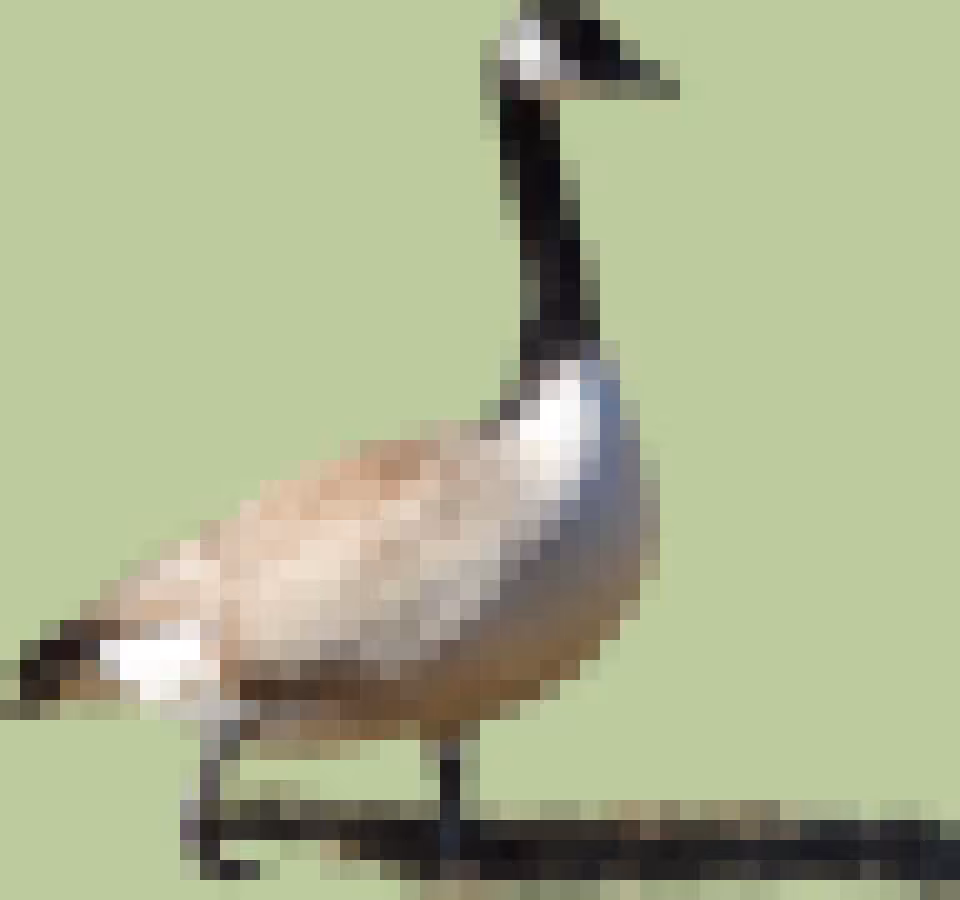 PixlBird #004