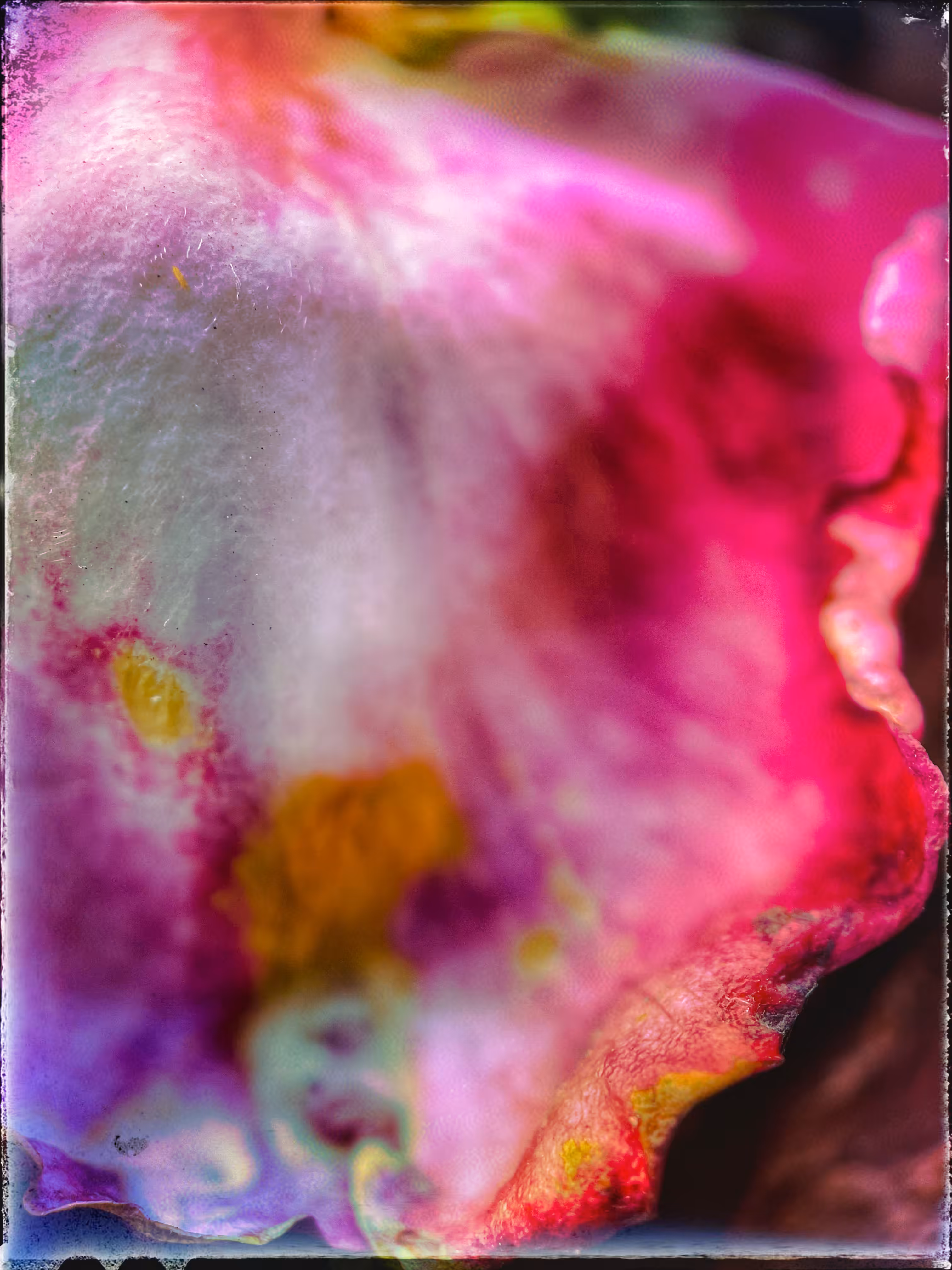 Petal