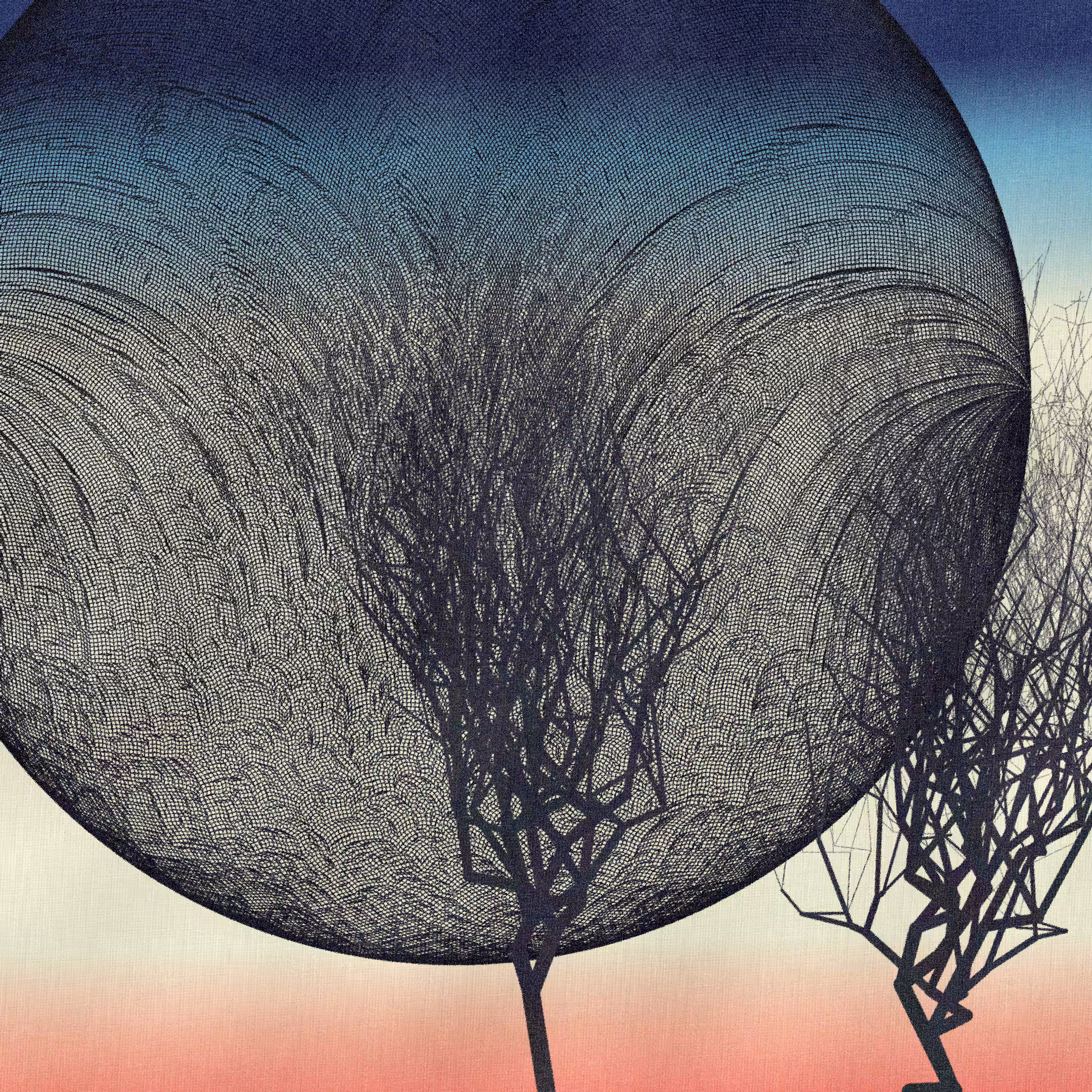 Three dead trees on earth #61