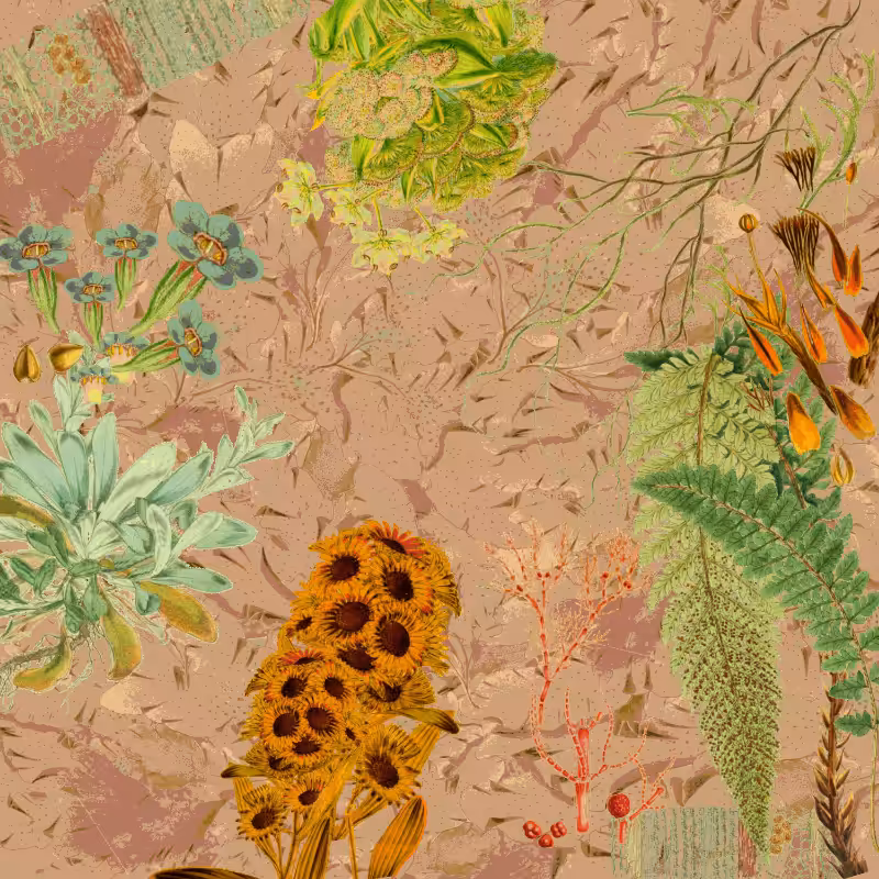 future flora from Antarctica's past #21