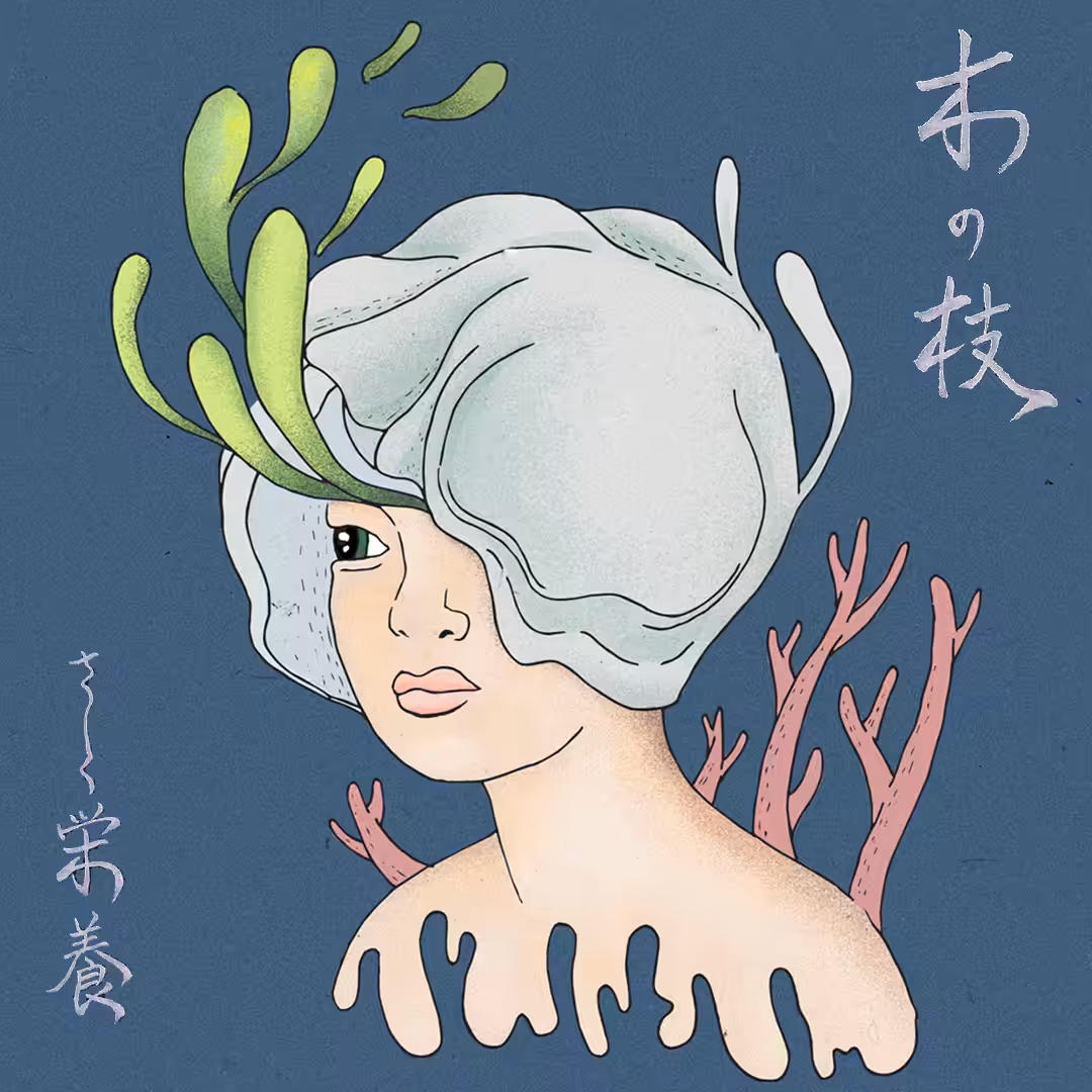 corallimorpharia Nº8